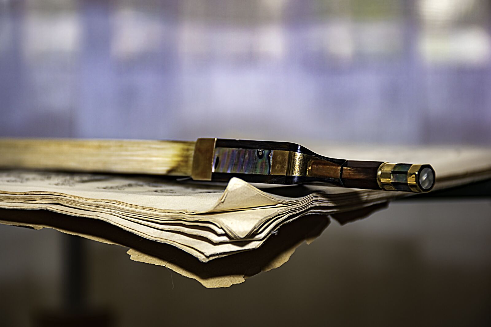 Nikon D5600 sample photo. Cello bow, bow, sheet photography