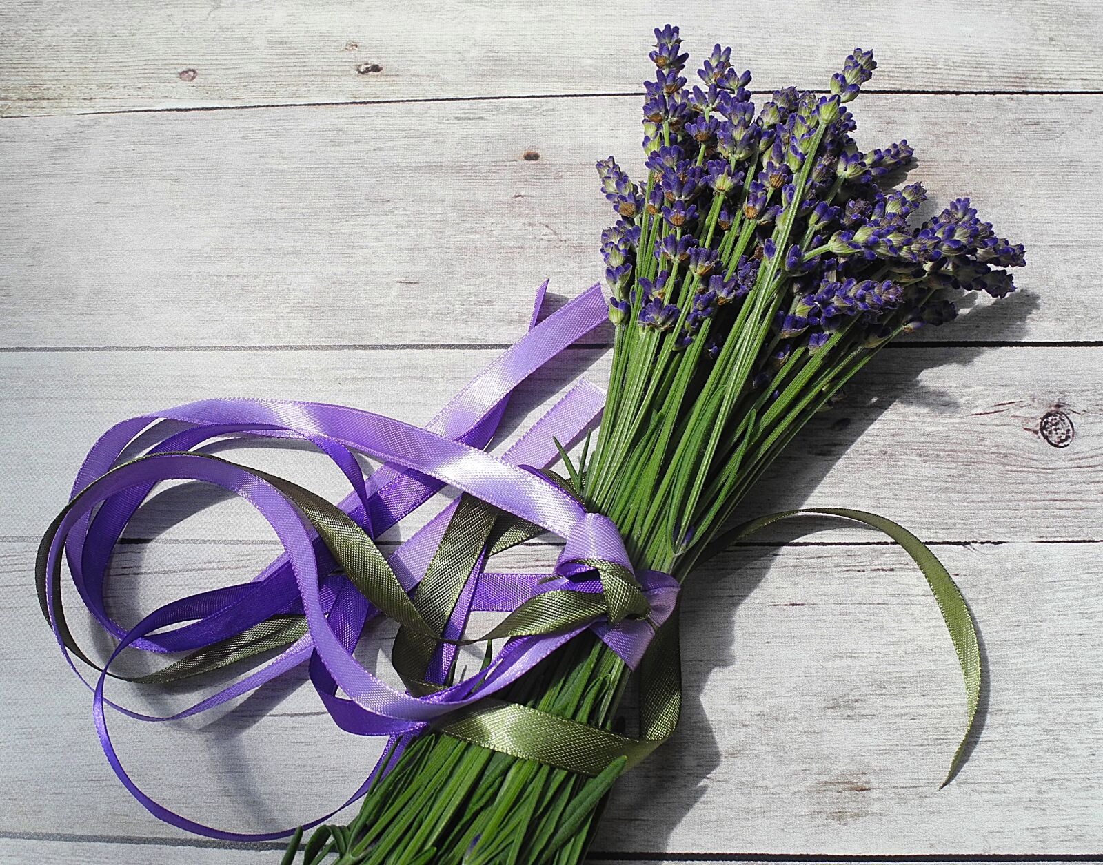 Nikon Coolpix P7000 sample photo. Lavender, flower, purple photography