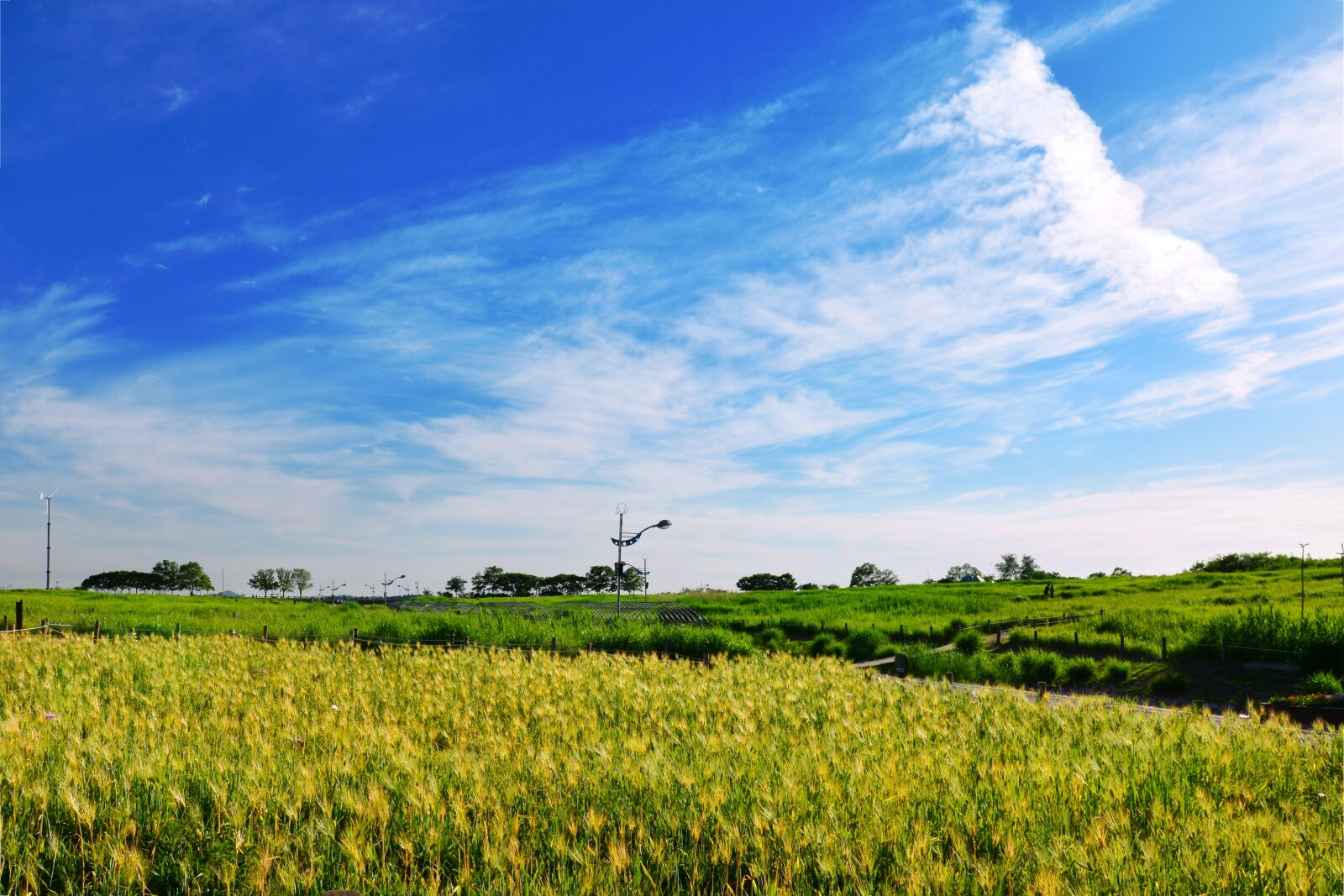 Nikon D7100 sample photo. Seoul, cloud, sky photography