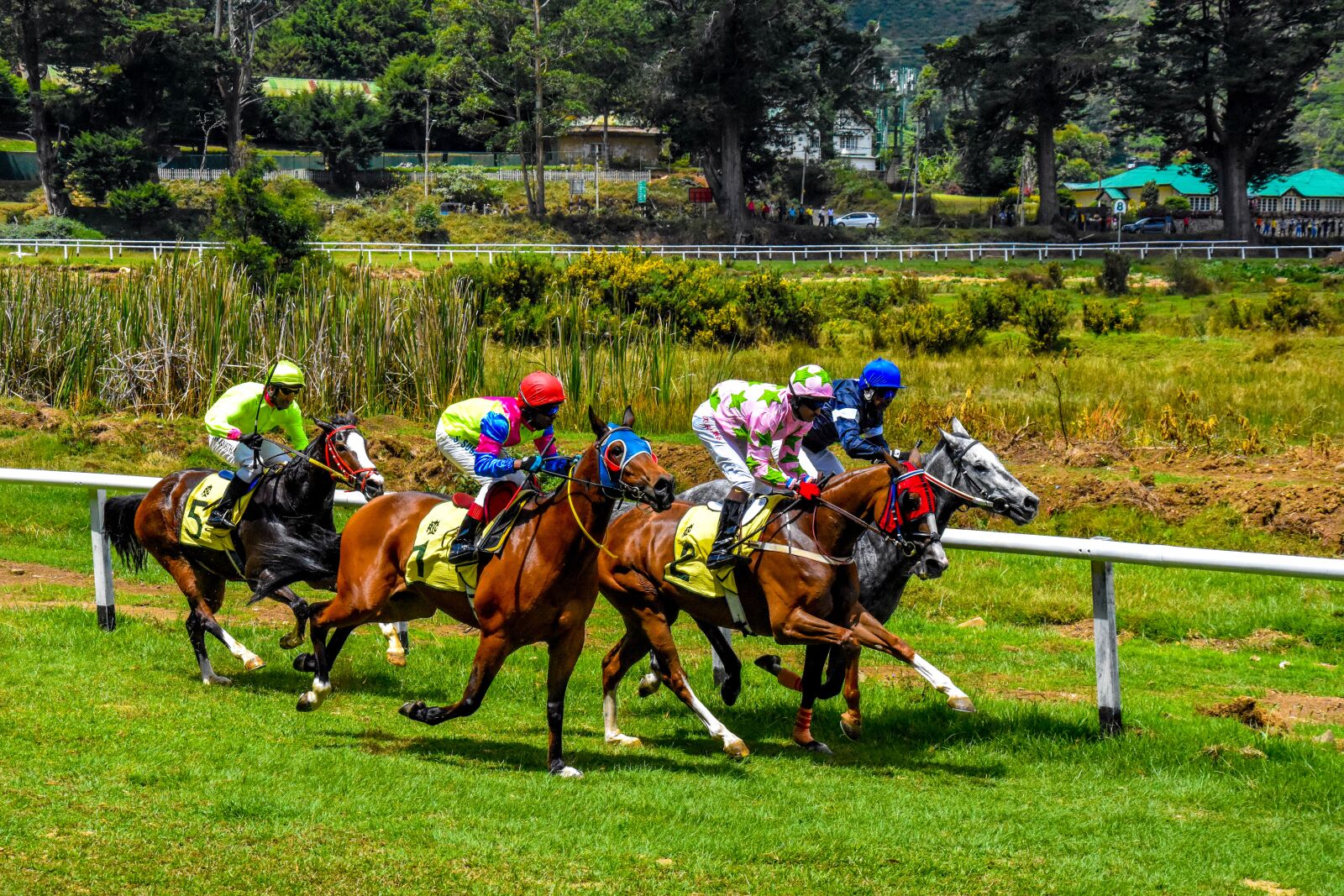 Nikon D7200 sample photo. Horse, racing, jockey photography