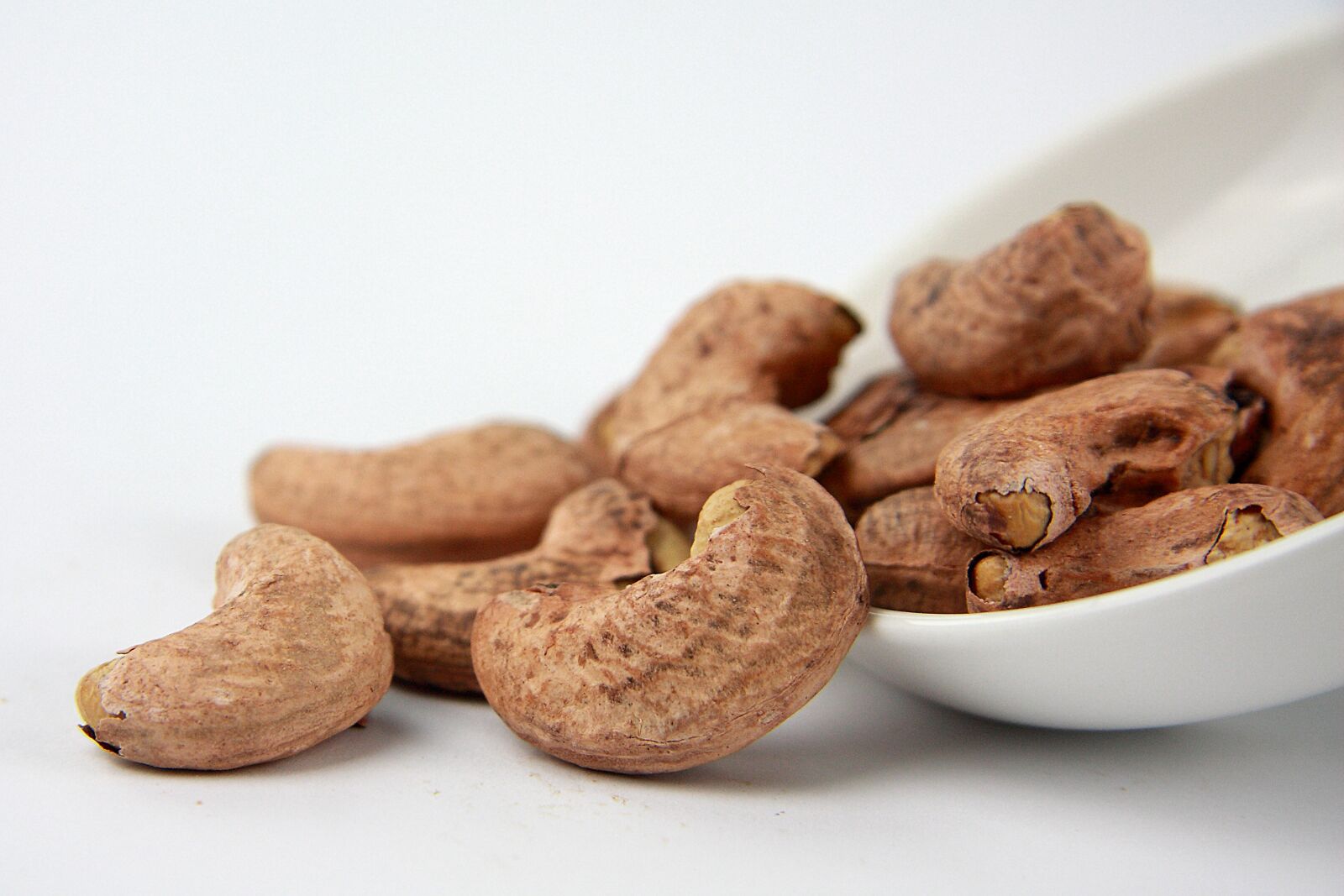 Canon EOS 40D sample photo. Cashew nut, dry fruit photography