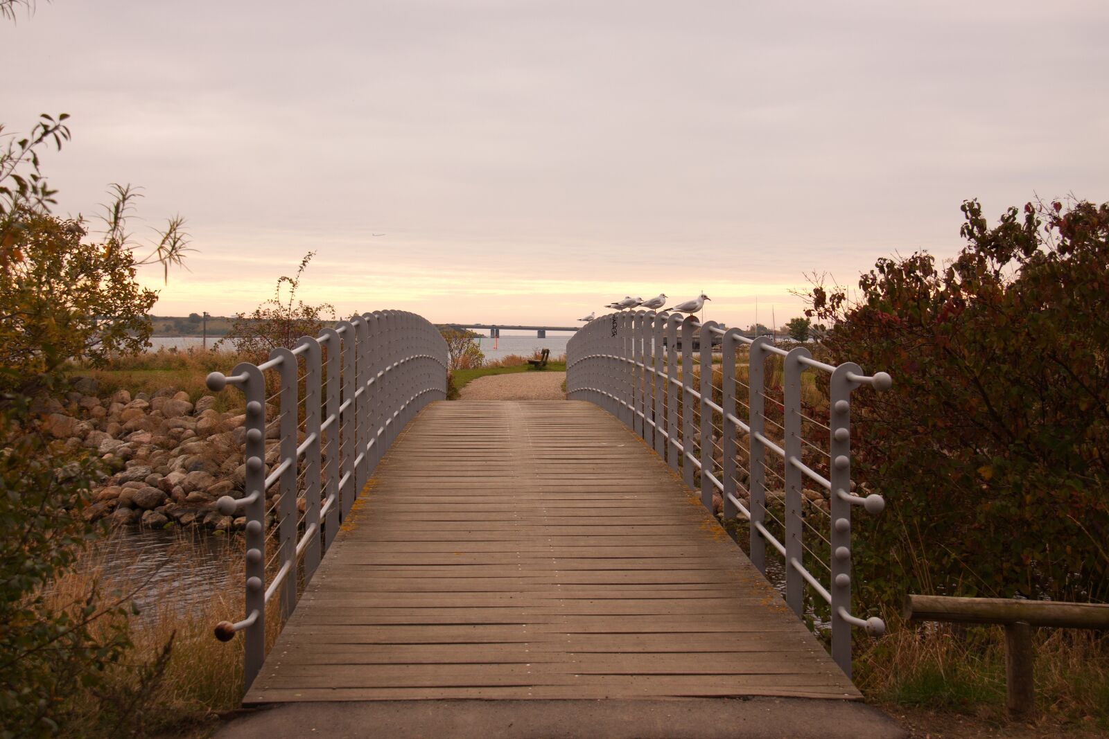 Canon EOS 50D sample photo. Bridge, fench, autumn photography