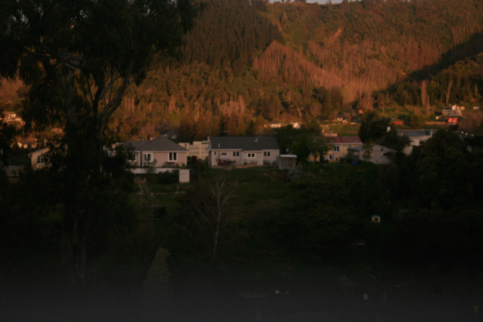 Canon EOS 20D sample photo. Forest, hill, houses, new photography