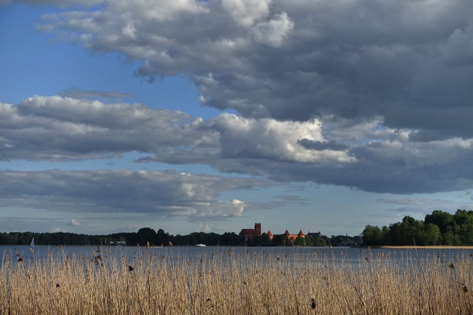 Sony Cyber-shot DSC-RX100 III sample photo. Sky, reeds, horizon photography