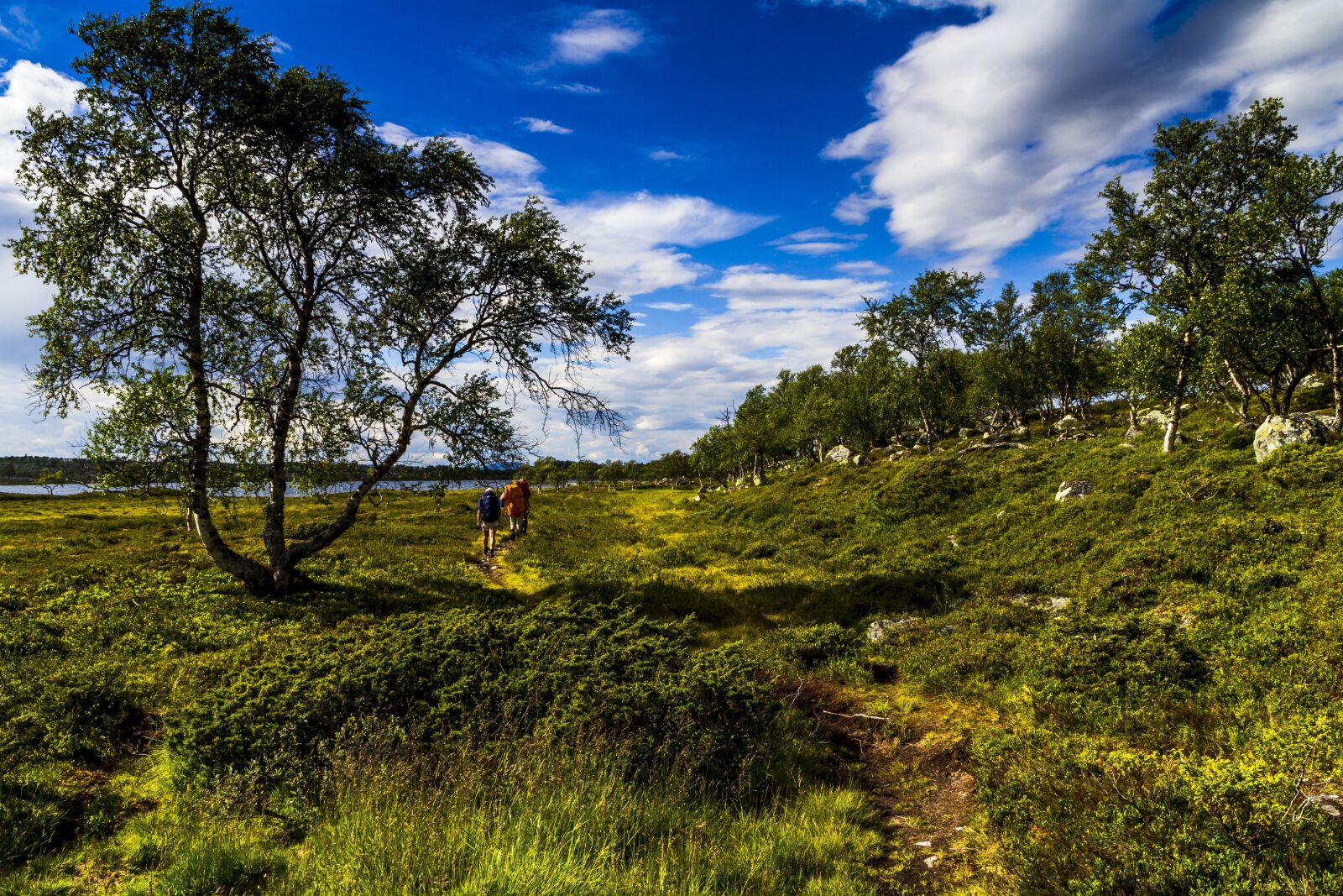Canon EOS 7D sample photo. Landscape, heather, sky photography