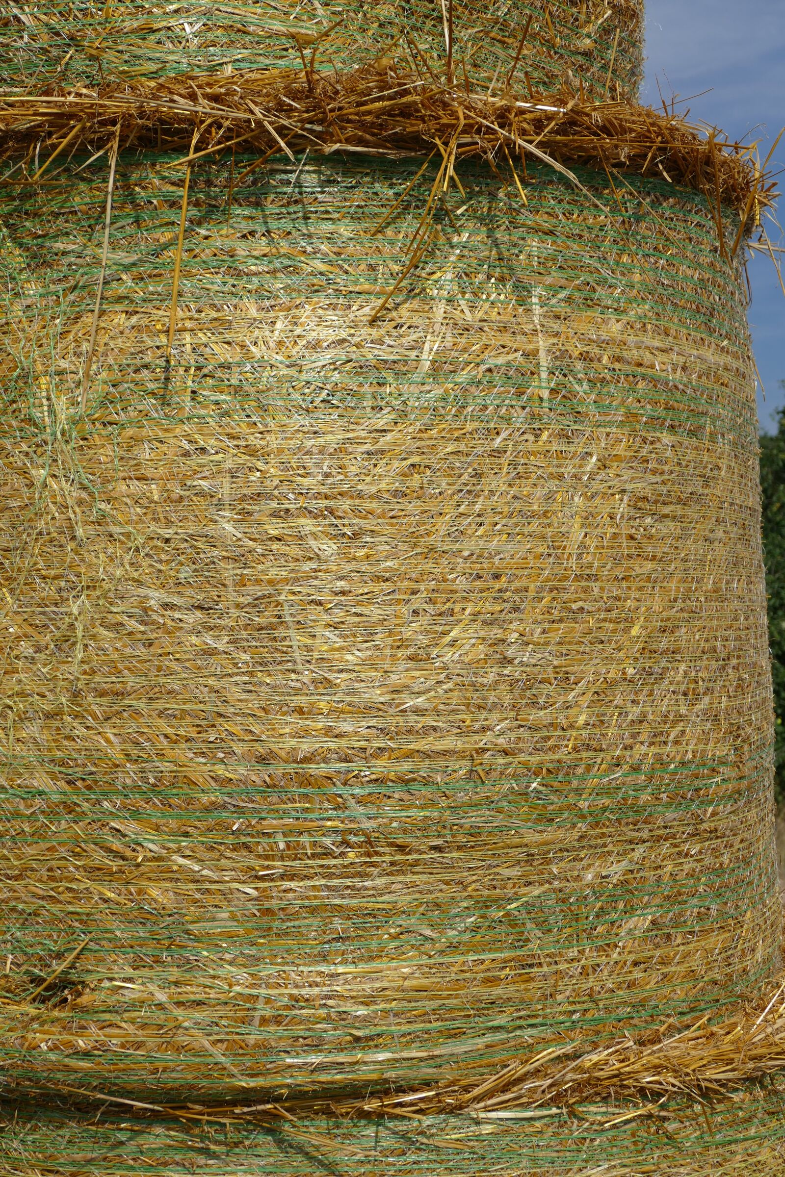 Panasonic Lumix DMC-FZ1000 sample photo. Straw bales, summer, nature photography