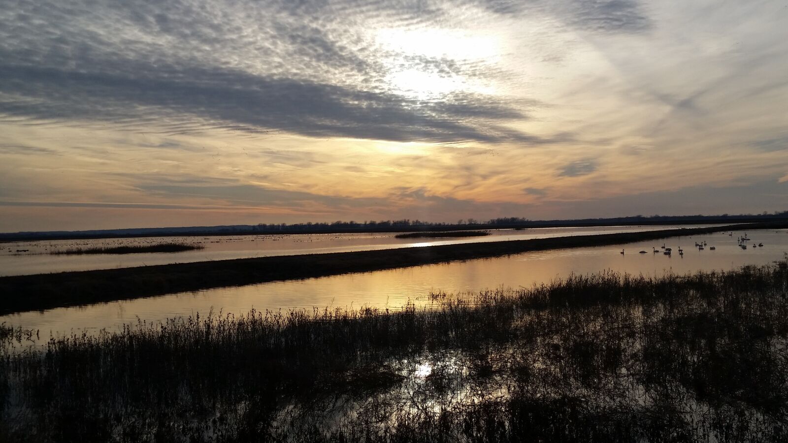 Samsung Galaxy S5 sample photo. Landscape, sunset, wildlife photography