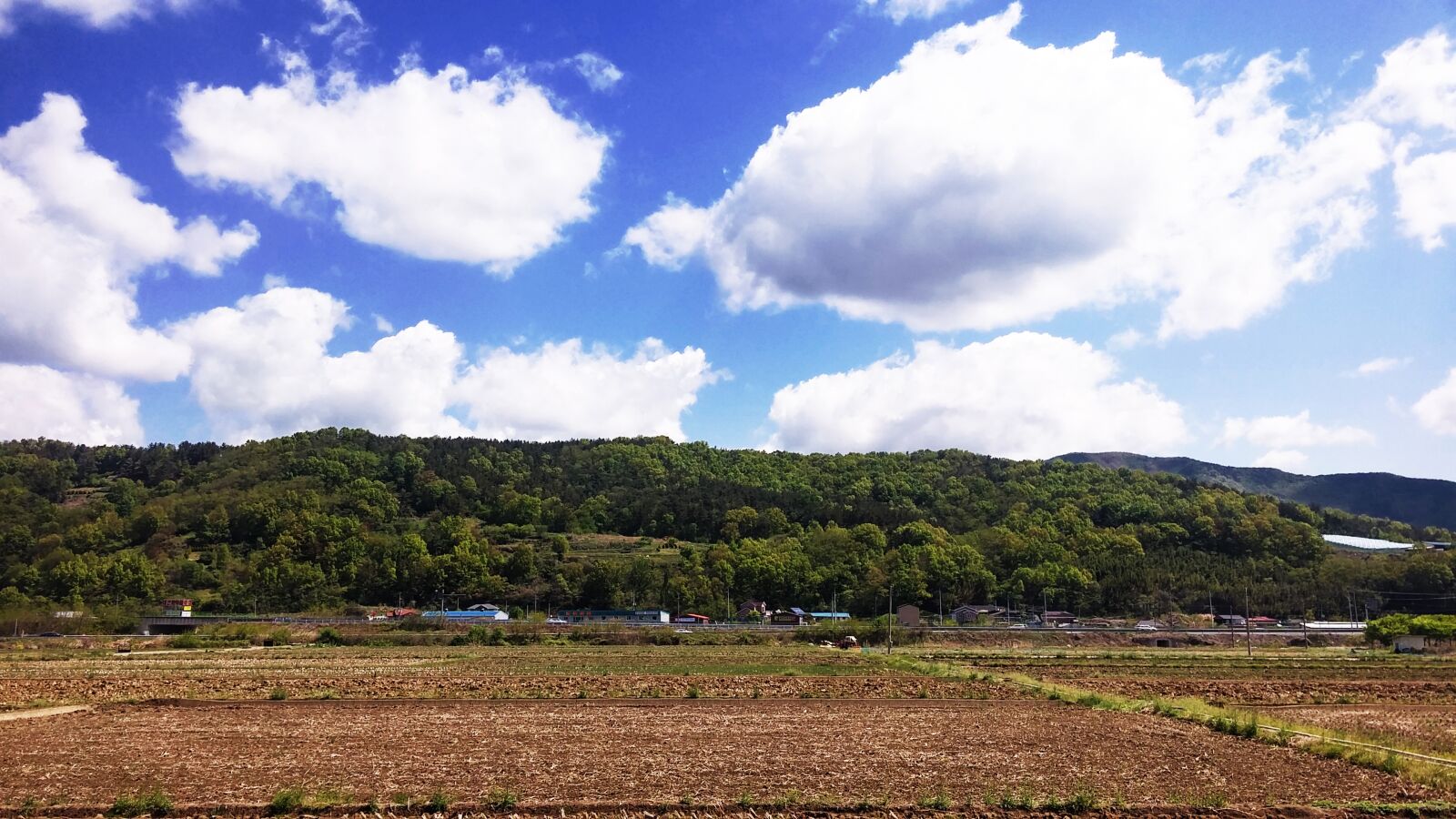 LG G3 CAT.6 sample photo. Country, nature, landscape photography