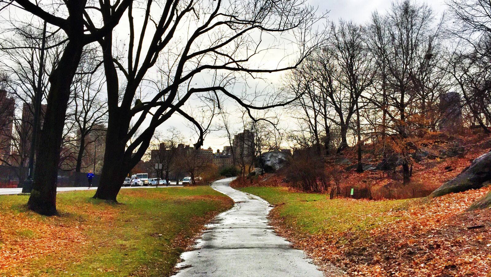 iPhone 6 back camera 4.15mm f/2.2 sample photo. New, york, city photography