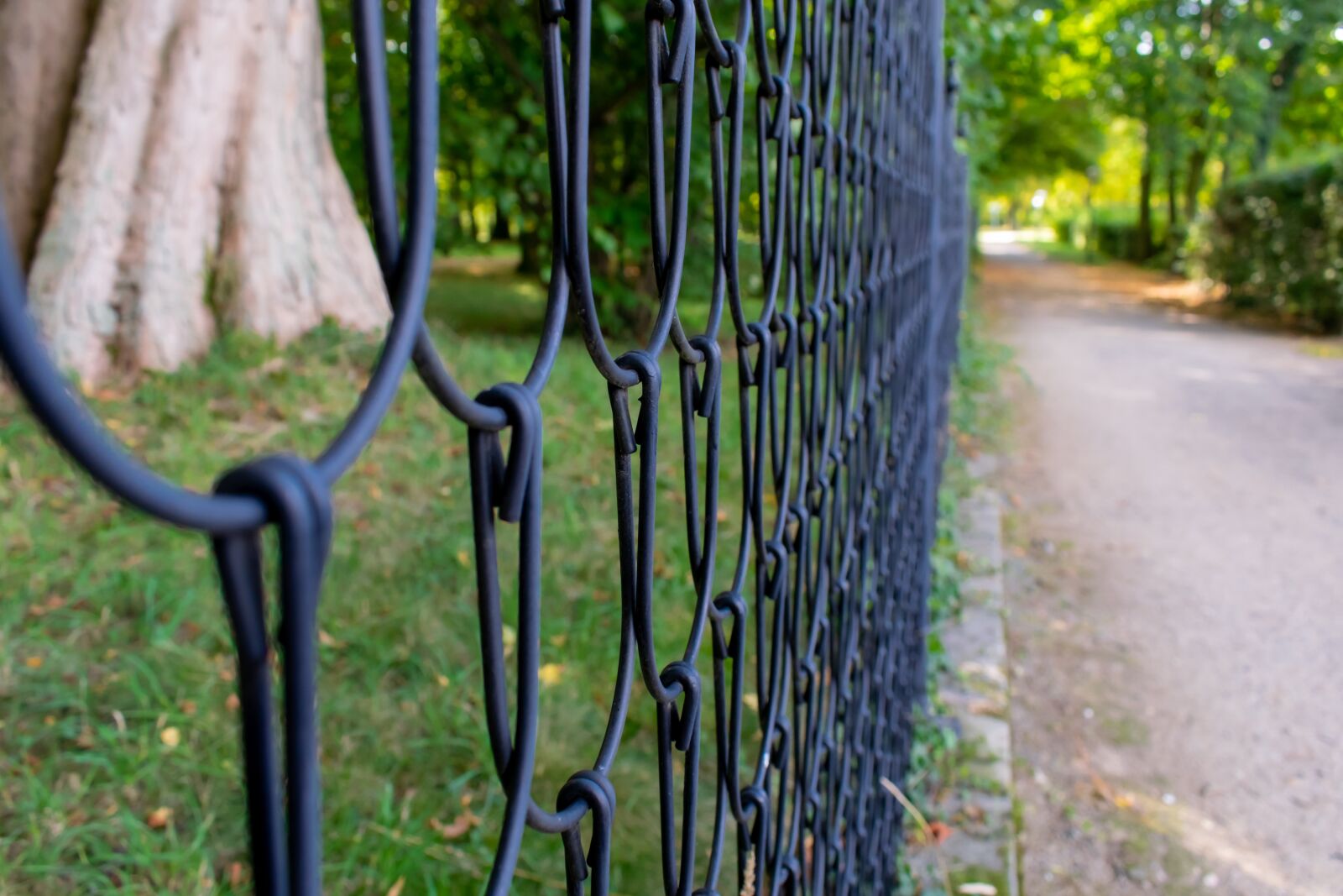 Nikon D5300 sample photo. Wire mesh fence, metal photography