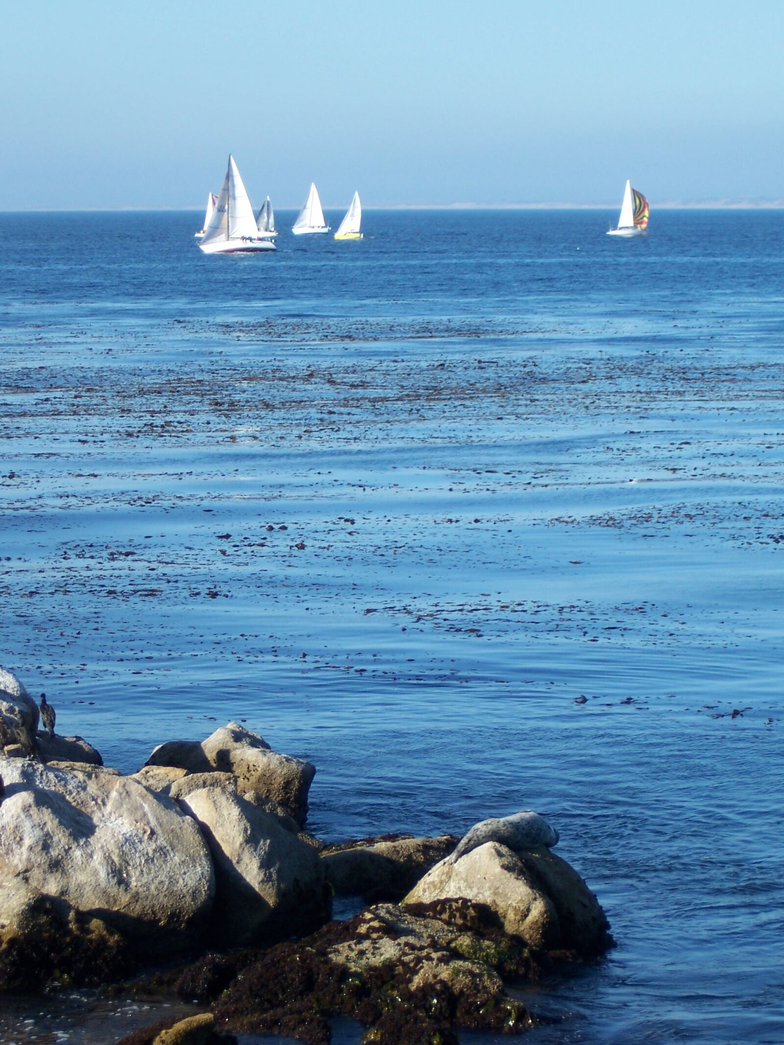 Kodak Z730 ZOOM DIGITAL CAMERA sample photo. Monterey bay, sailboat, seascape photography