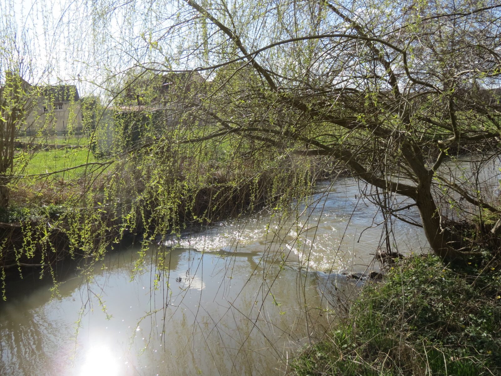 Canon PowerShot SX40 HS sample photo. River, spring, water's edge photography