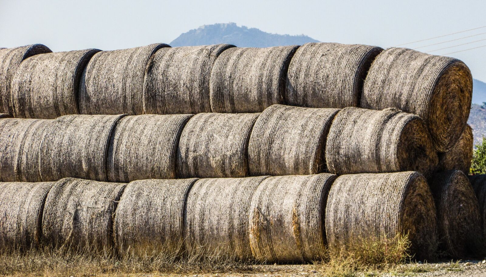 Canon PowerShot SX400 IS sample photo. Forage, dry grass, countryside photography