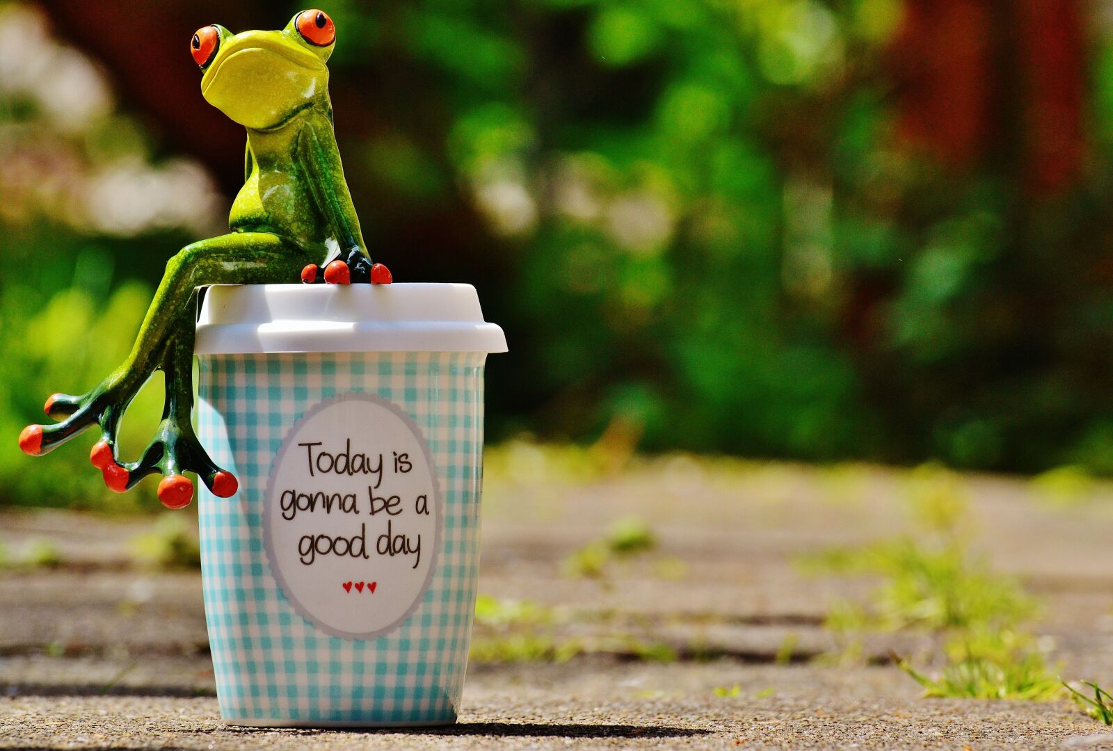 Nikon D3200 sample photo. Beautiful day, joy, frog photography