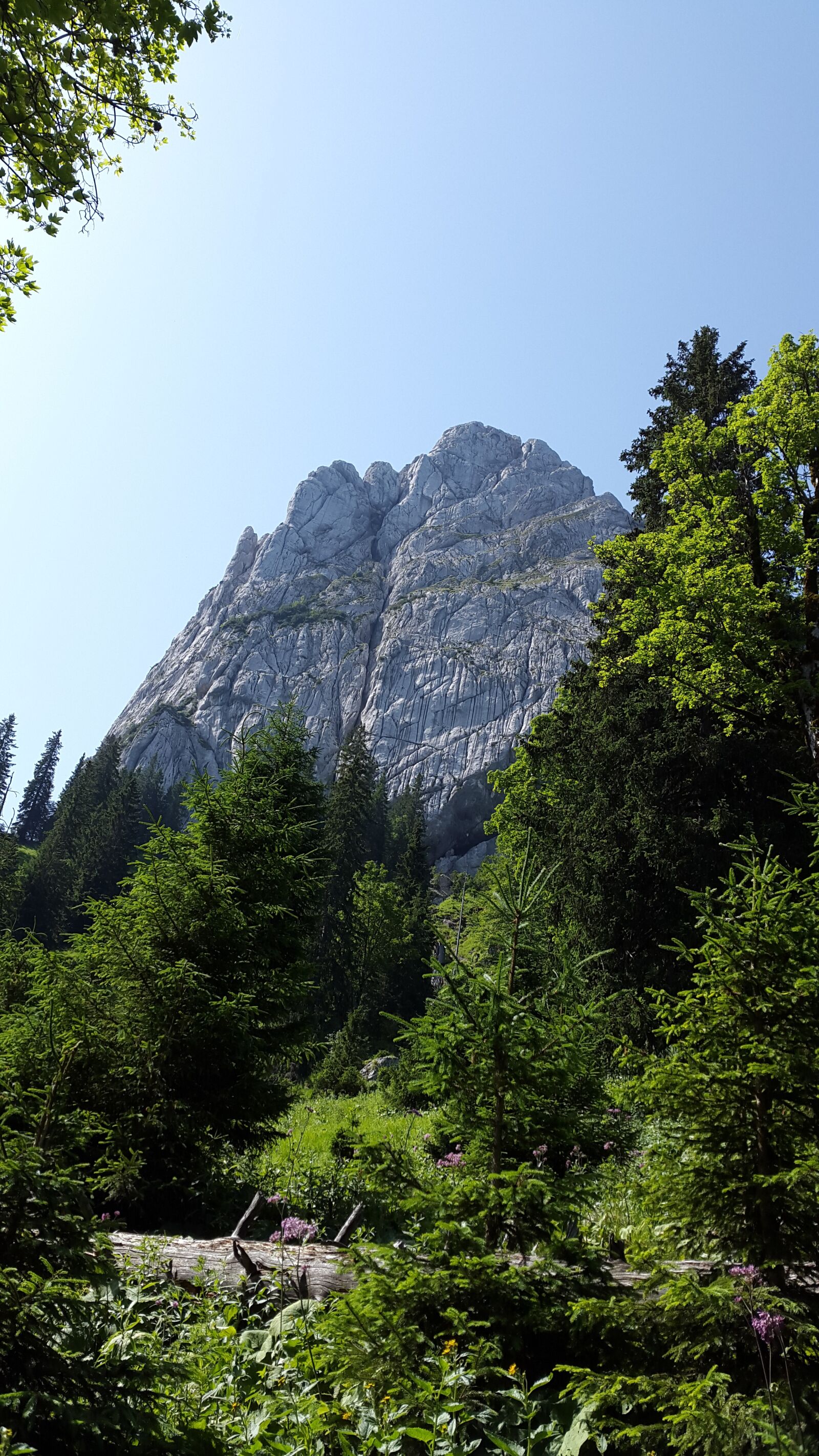 Samsung Galaxy Alpha sample photo. Geiselstein, oberammergau alpine, ceedings photography