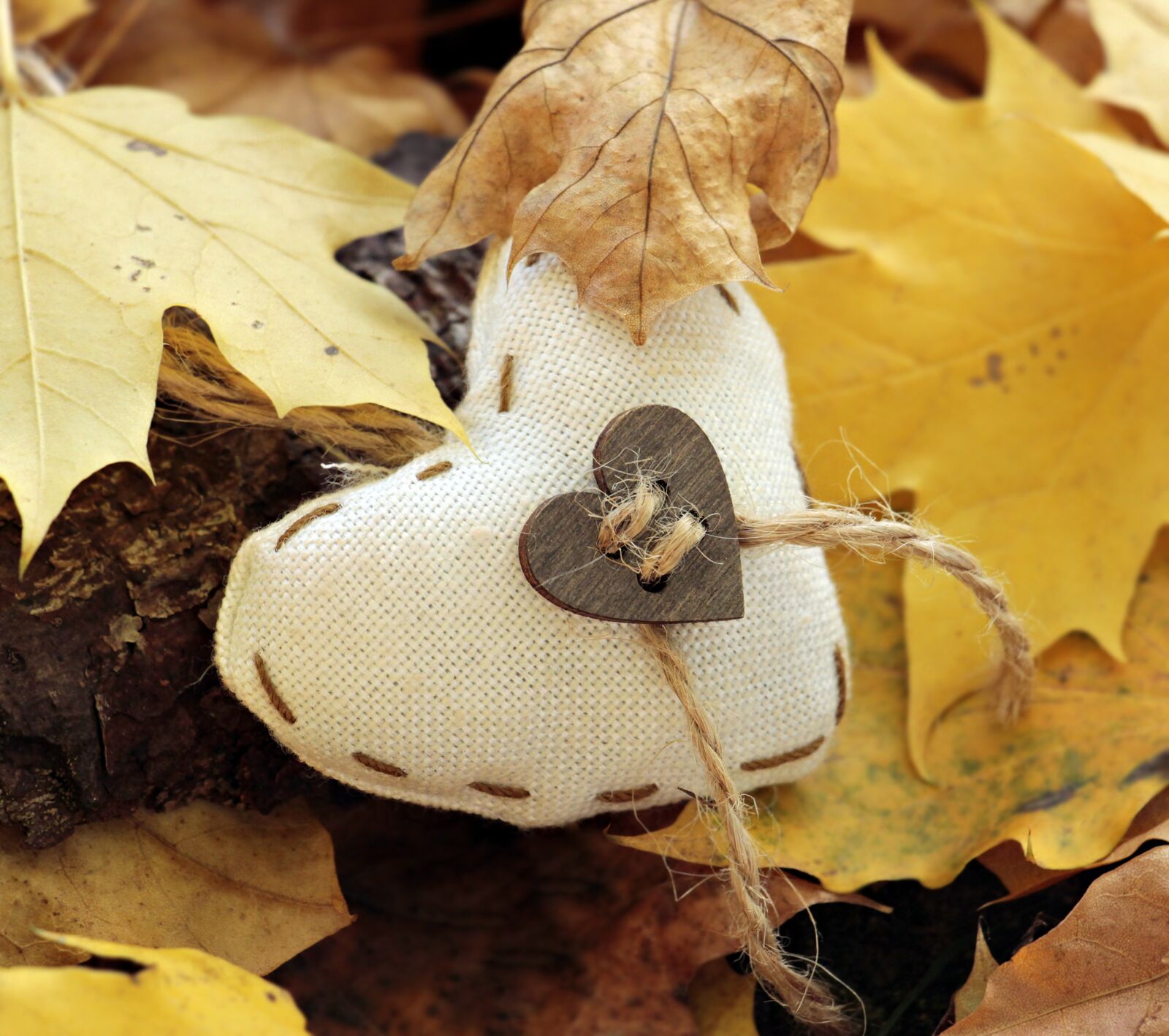 Canon EOS 100D (EOS Rebel SL1 / EOS Kiss X7) sample photo. Heart, autumn, leaves photography