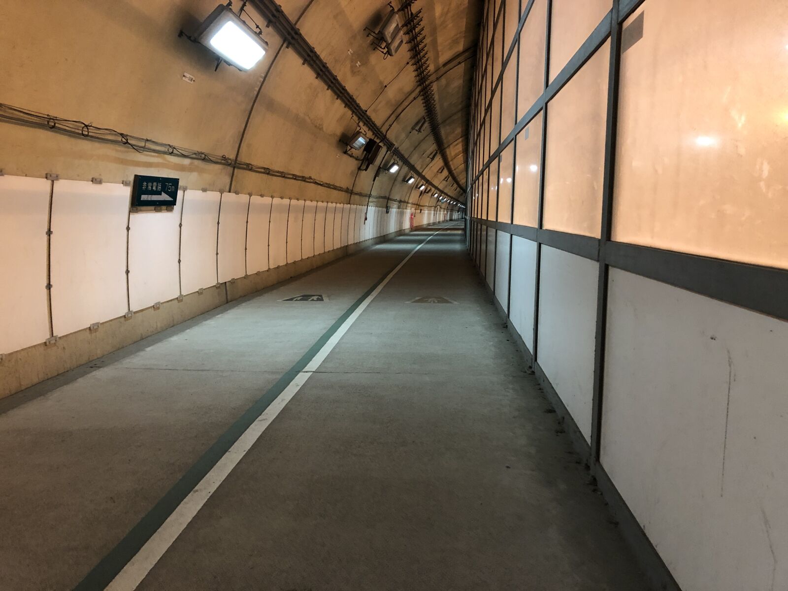 iPhone 8 back camera 3.99mm f/1.8 sample photo. Tunnel, road, lighting photography