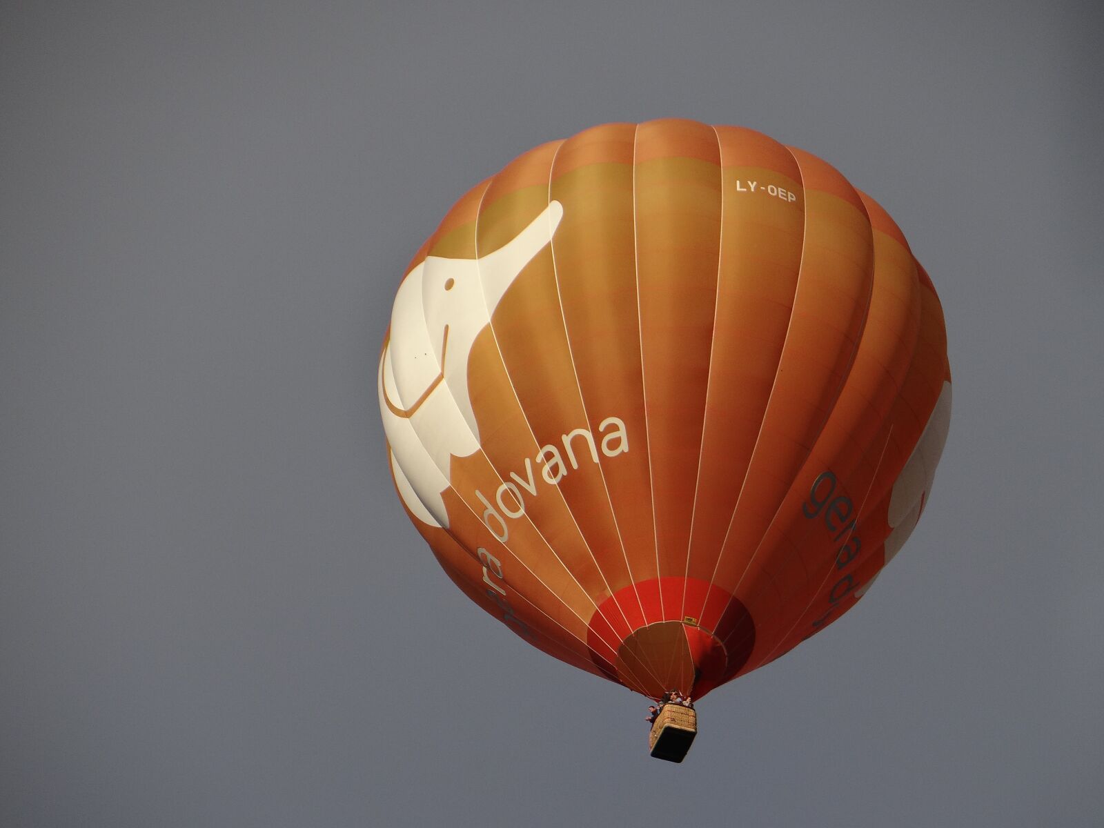 Sony DSC-HX200V sample photo. Balloon flight, balloon, flight photography