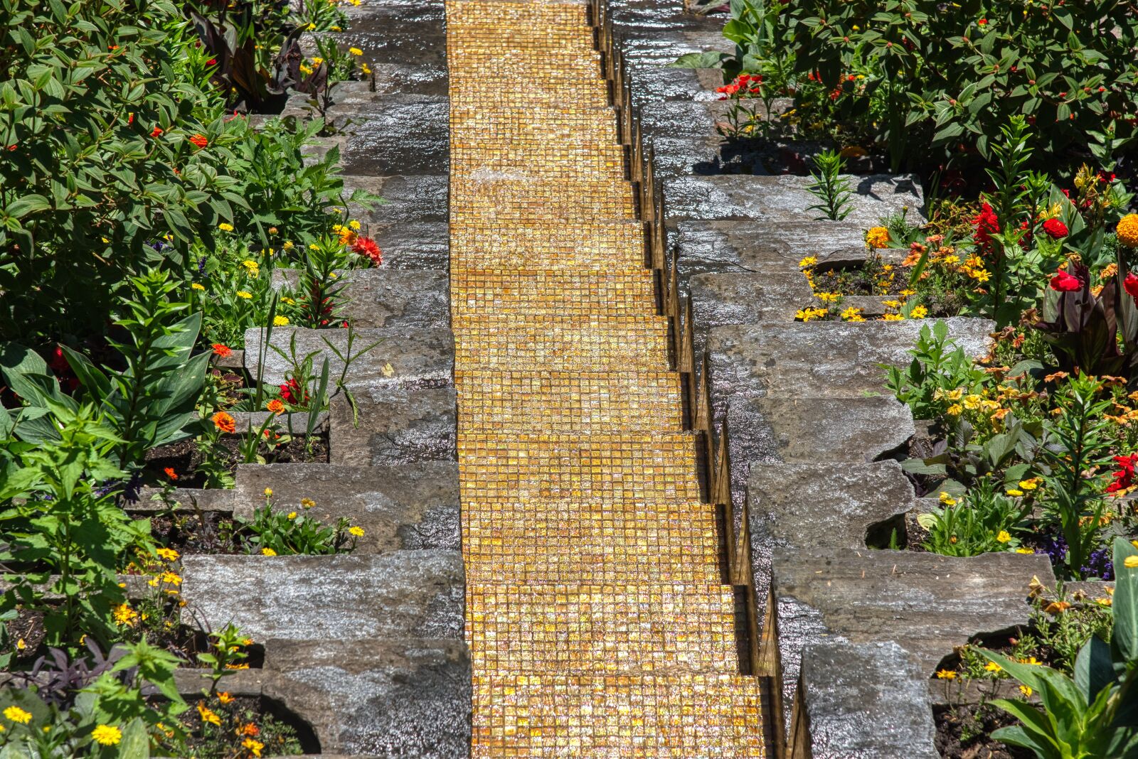 Nikon D750 sample photo. Flowers water stairs, watercourse photography