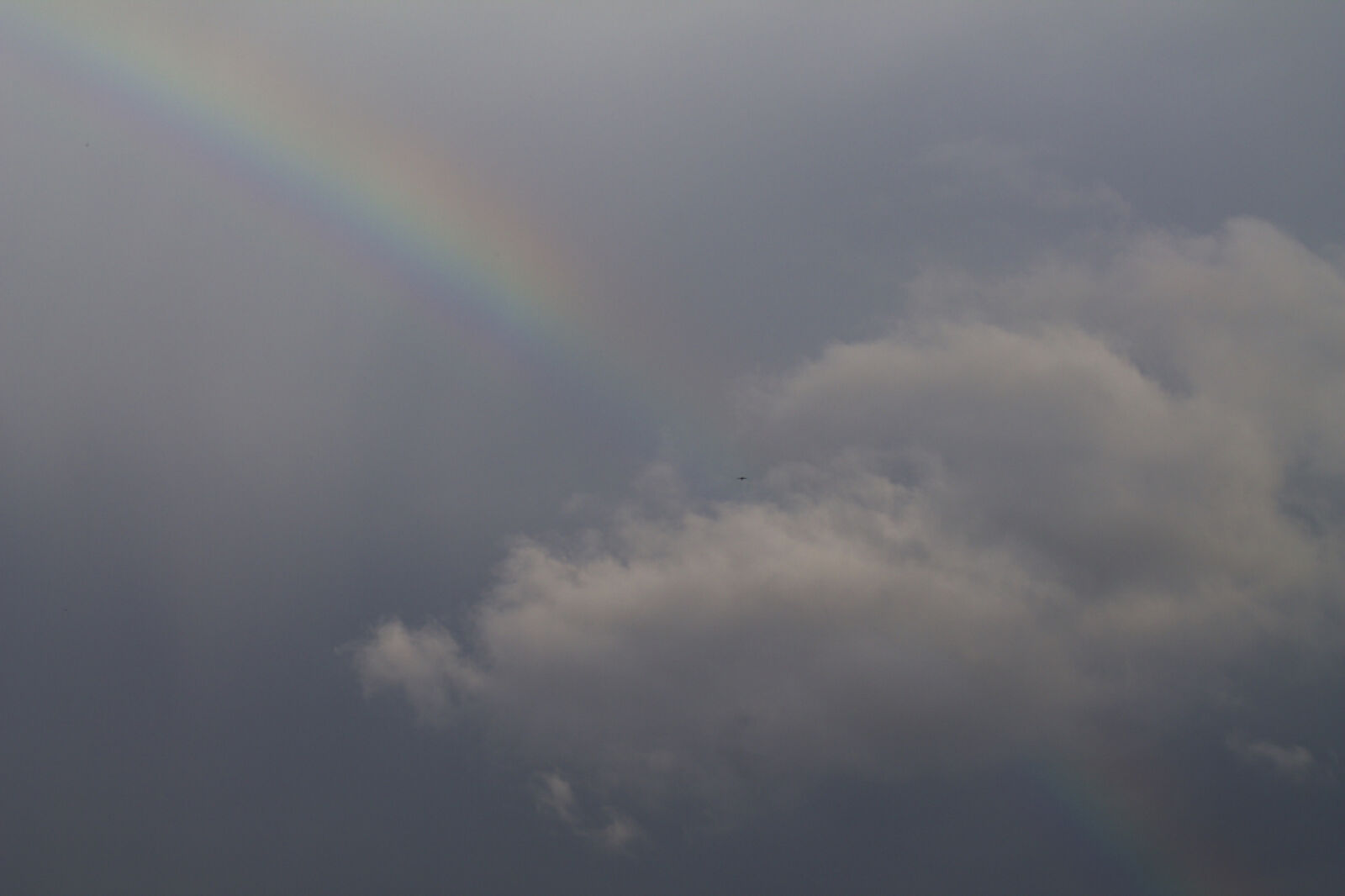 Canon EOS 1100D (EOS Rebel T3 / EOS Kiss X50) sample photo. Bird, clouds, peace, rain photography