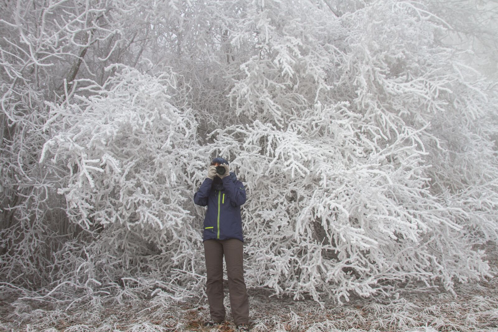 Canon EOS 7D sample photo. Hoarfrost, winter, photographer photography