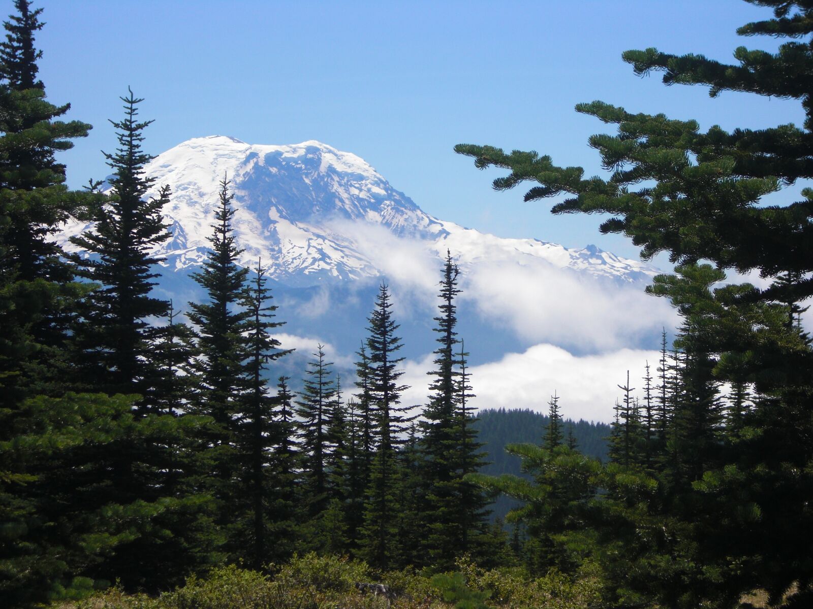 CASIO EX-S10 sample photo. Mount rainier, mountain, rainier photography