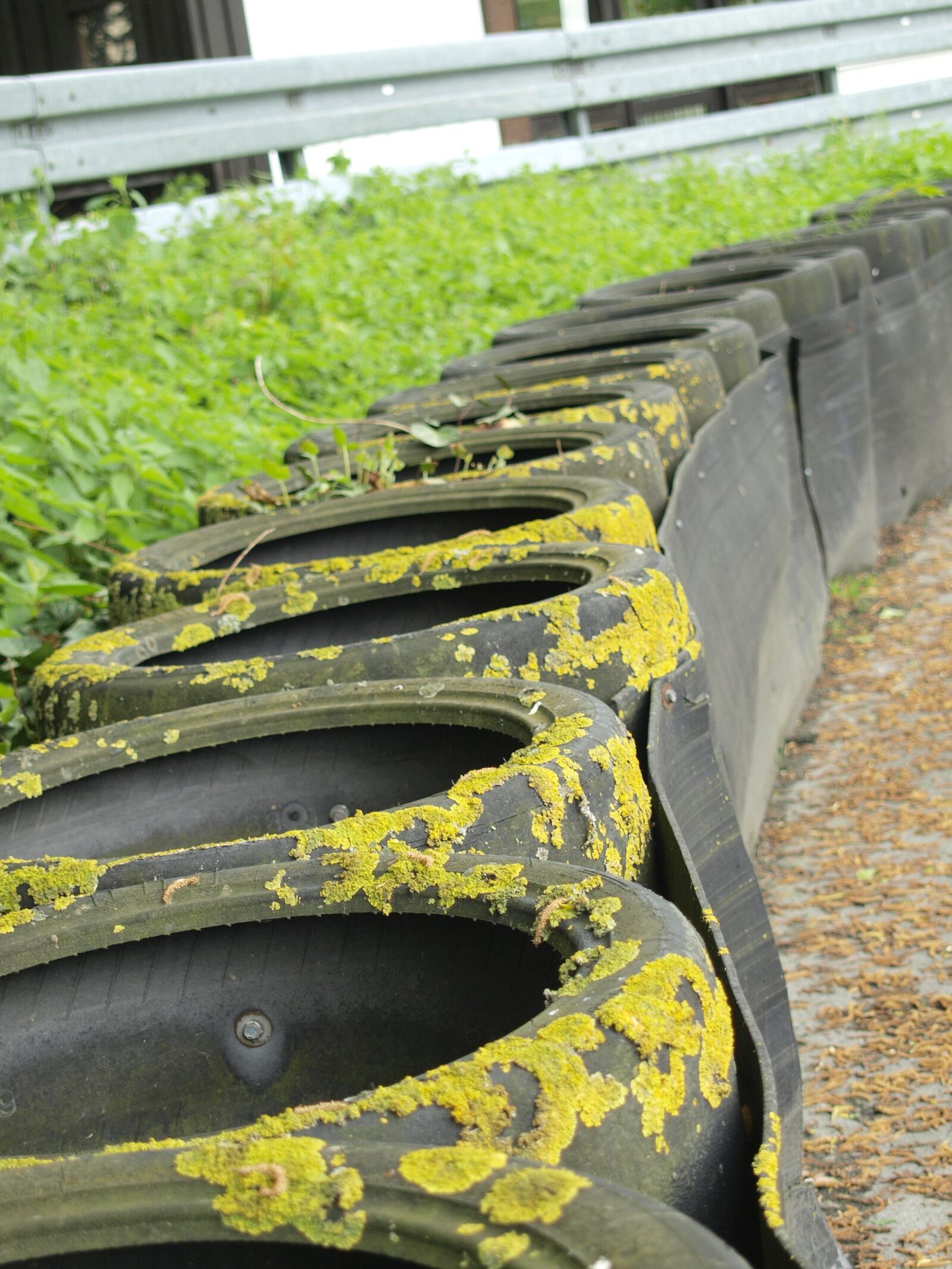 Olympus E-420 (EVOLT E-420) sample photo. Mature, environment, auto tires photography