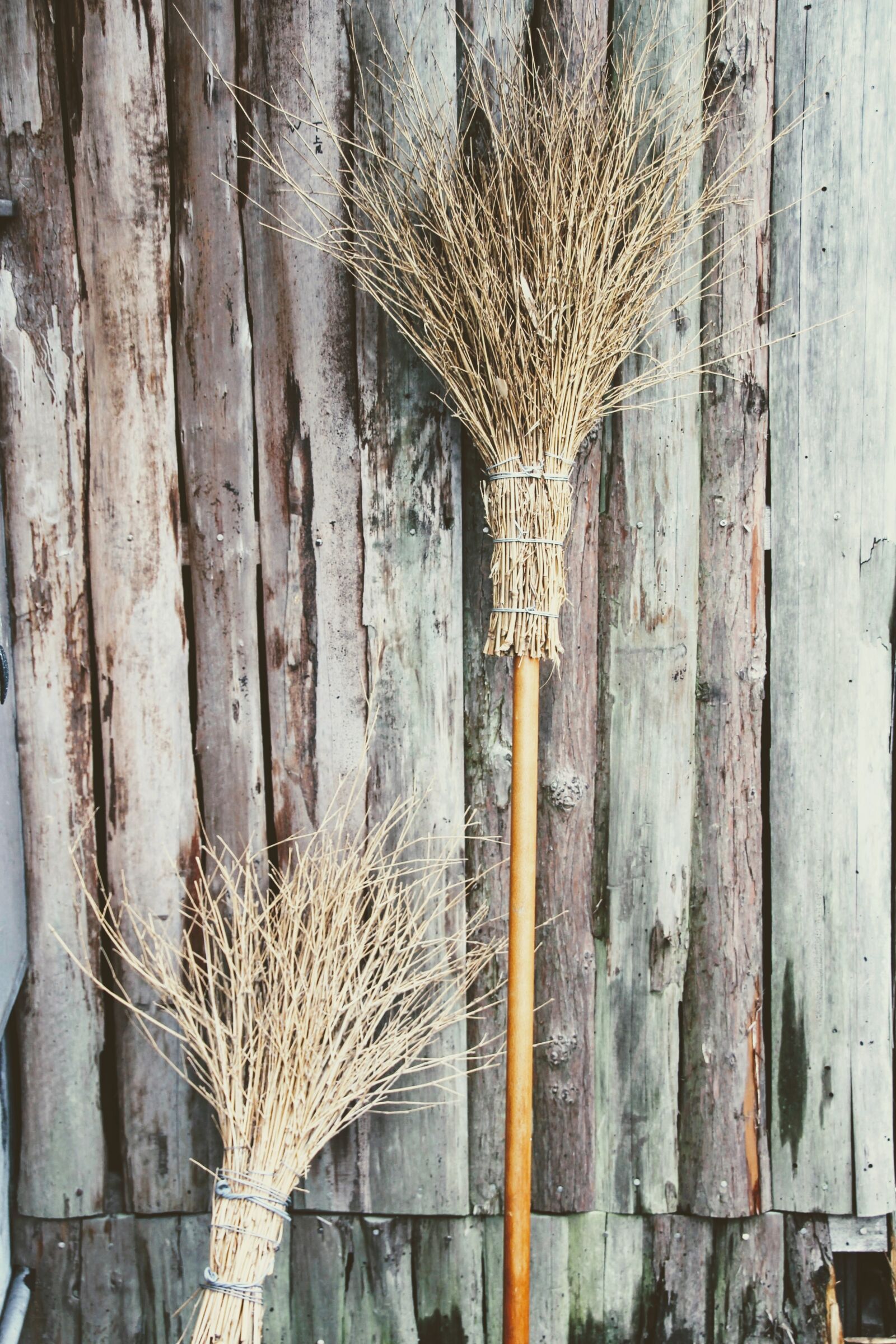 Canon EOS 600D (Rebel EOS T3i / EOS Kiss X5) sample photo. Broom, still life, hand photography