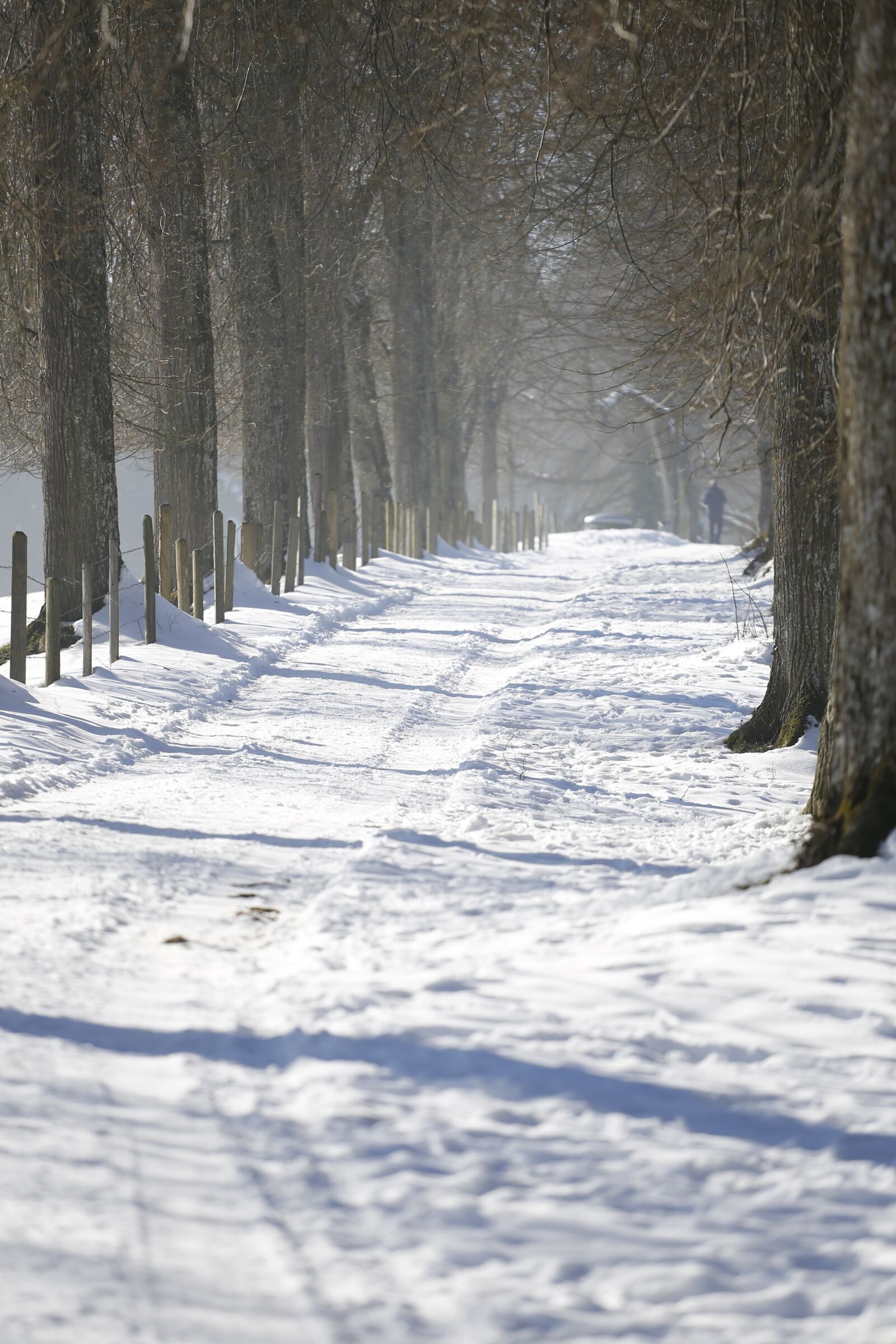 Canon EOS 6D sample photo. Winter, away, cold photography