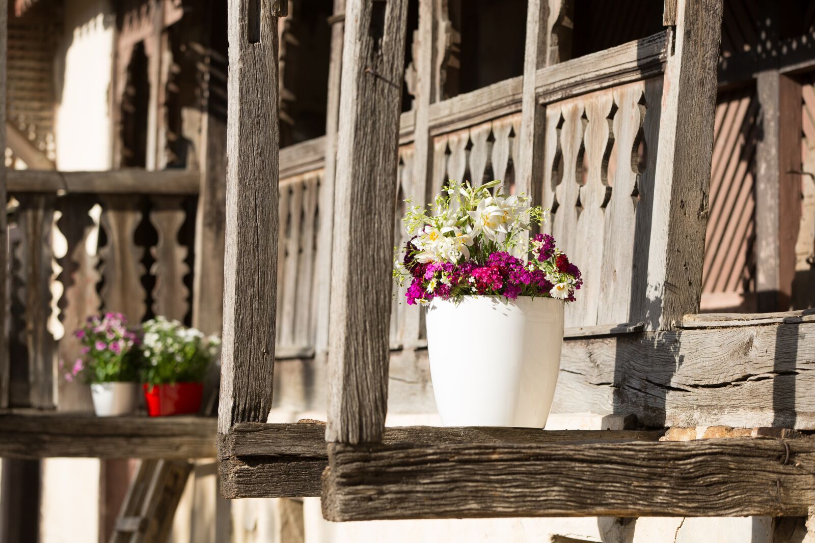 Canon EOS 5D Mark III sample photo. Flowers, flowerpots, green photography