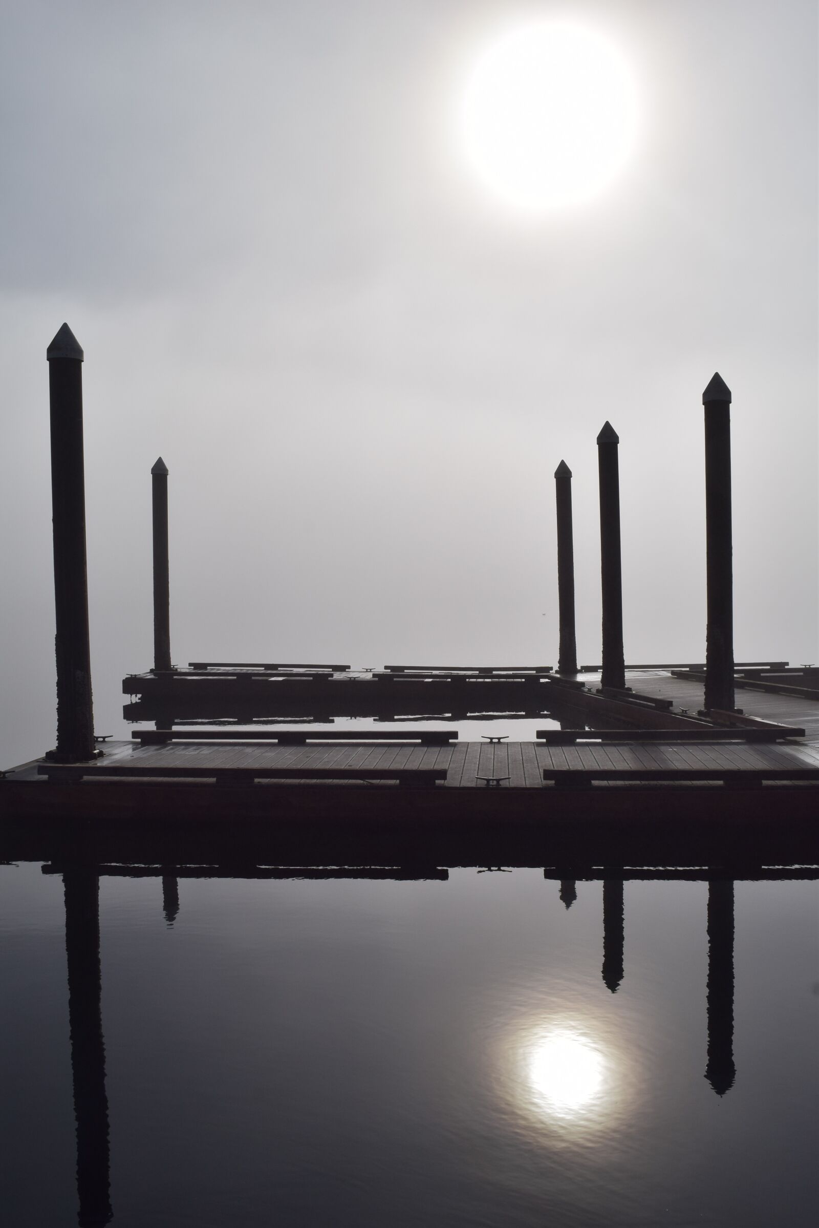 Nikon D3300 sample photo. Fog, morning, sun photography