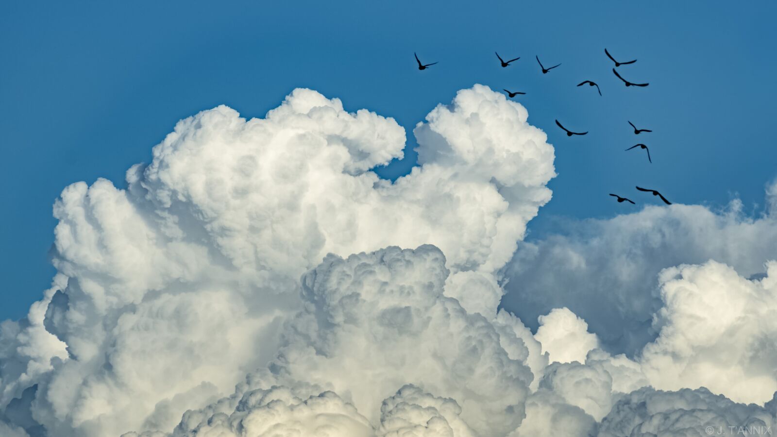 Sony ILCA-77M2 sample photo. Nature, sky, outdoors photography