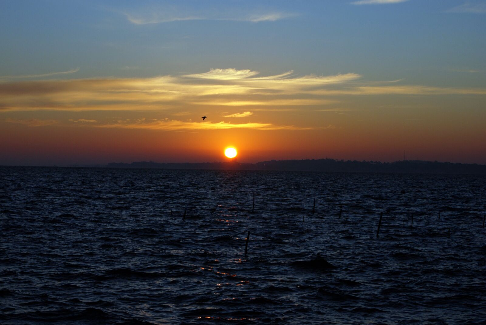 Nikon D80 sample photo. Sunset, of, sun photography