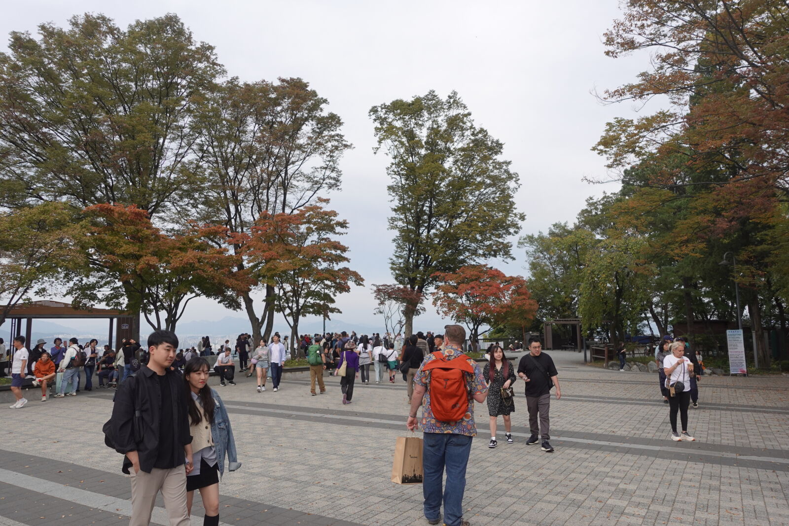Sony ZV-1 sample photo