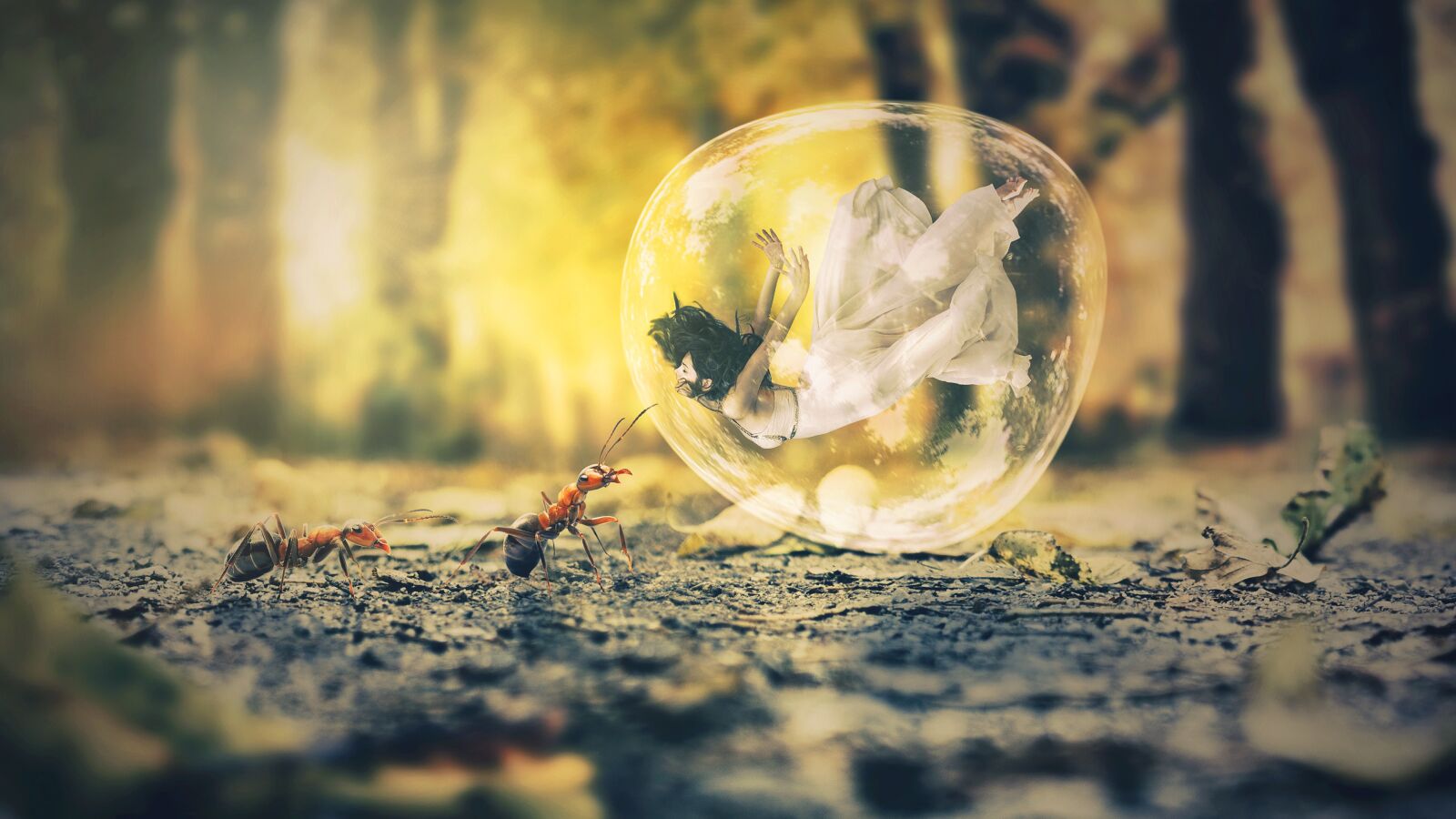 Nikon D5100 sample photo. Nature, wallpaper, forest photography
