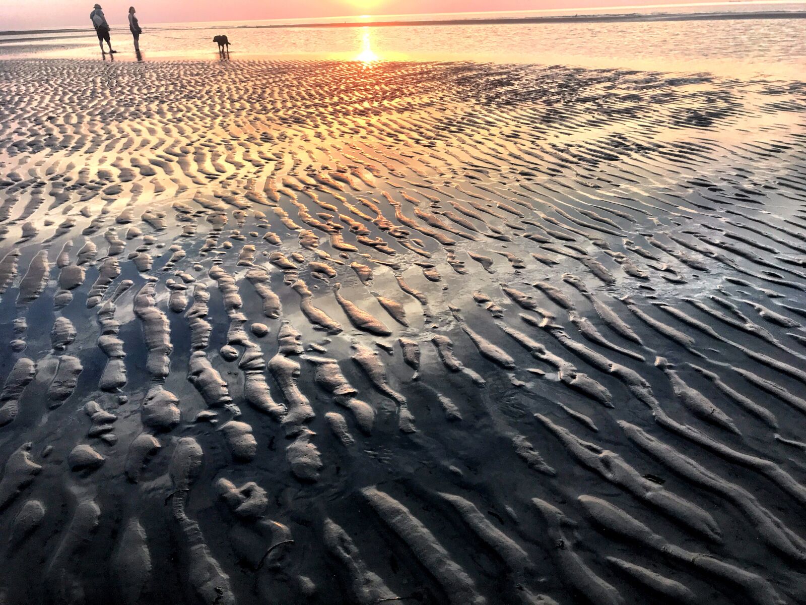 iPhone 7 back camera 3.99mm f/1.8 sample photo. Wangerooge, north sea, lower photography