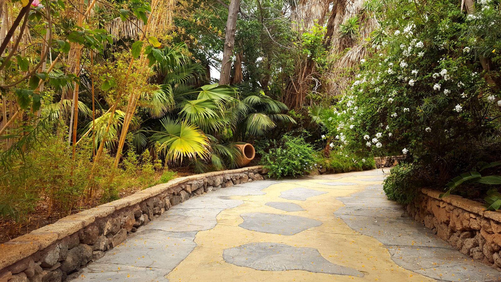 Samsung Galaxy S6 sample photo. Abandoned way, palm trees photography