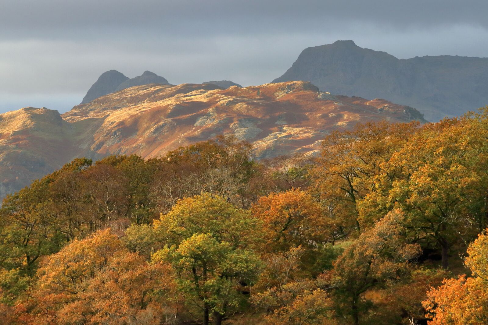 Canon EOS 80D + Canon EF 70-300mm F4-5.6 IS USM sample photo. Langdale pikes, autumn, cumbria photography