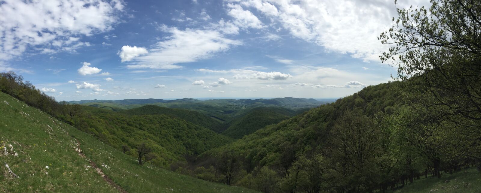 iPhone 6 back camera 4.15mm f/2.2 sample photo. Spring, valley, nature photography