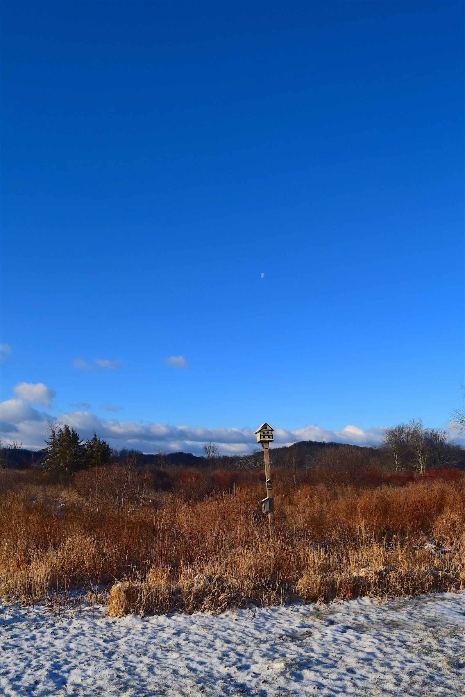 Nikon D3300 sample photo. Winter, field, snow photography