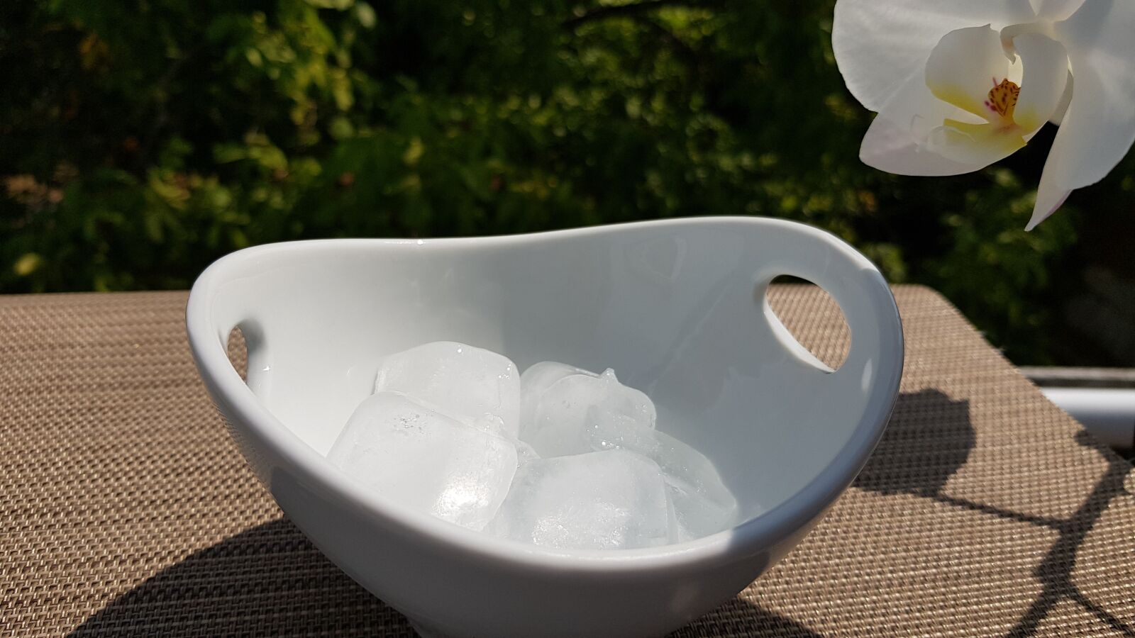Samsung Galaxy S8 sample photo. Ice cubes, shell, summer photography