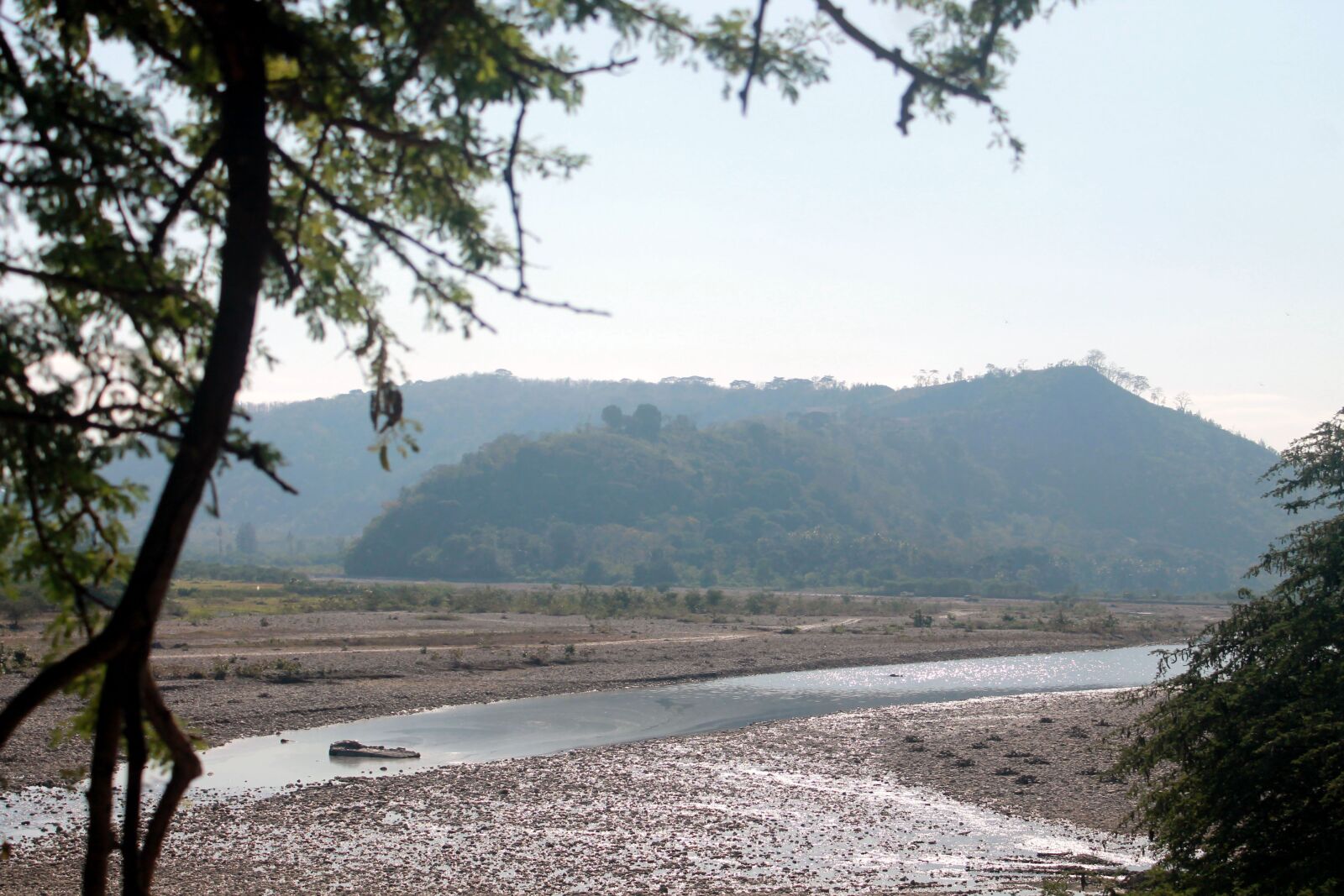 Canon EOS 1100D (EOS Rebel T3 / EOS Kiss X50) sample photo. River, branch, the tree photography