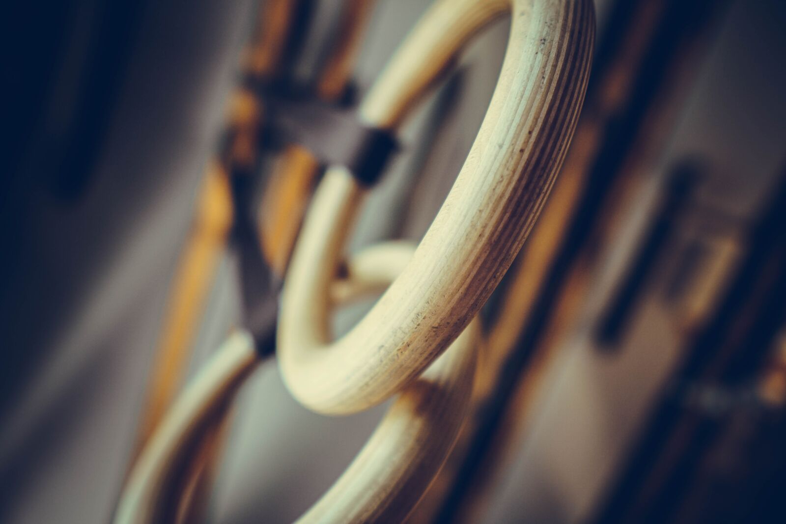 Sony a6400 + Sigma 16mm F1.4 DC DN | C sample photo. Fitness, exercise, circles photography