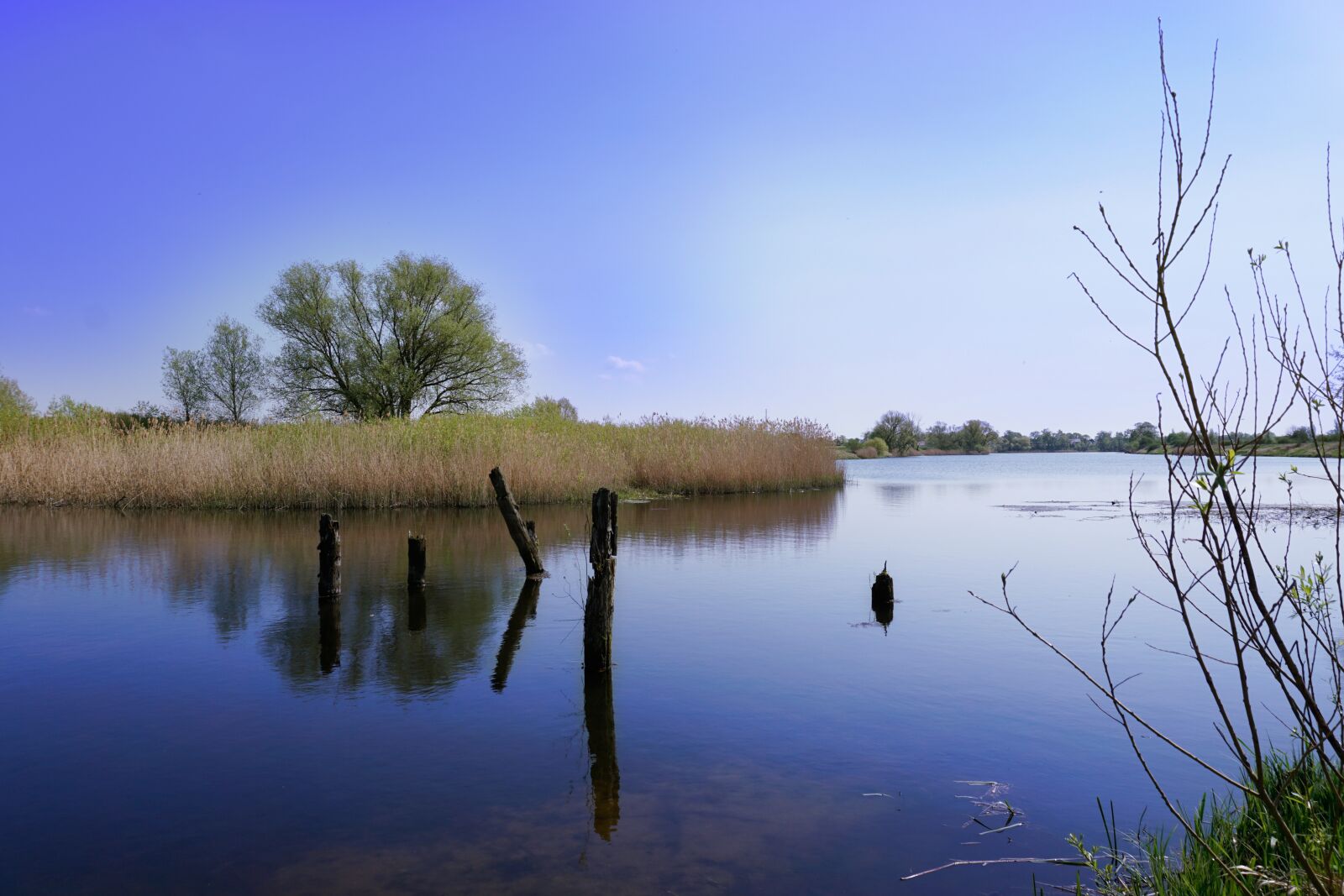 Sony a6000 sample photo. Summer time, summer, lake photography