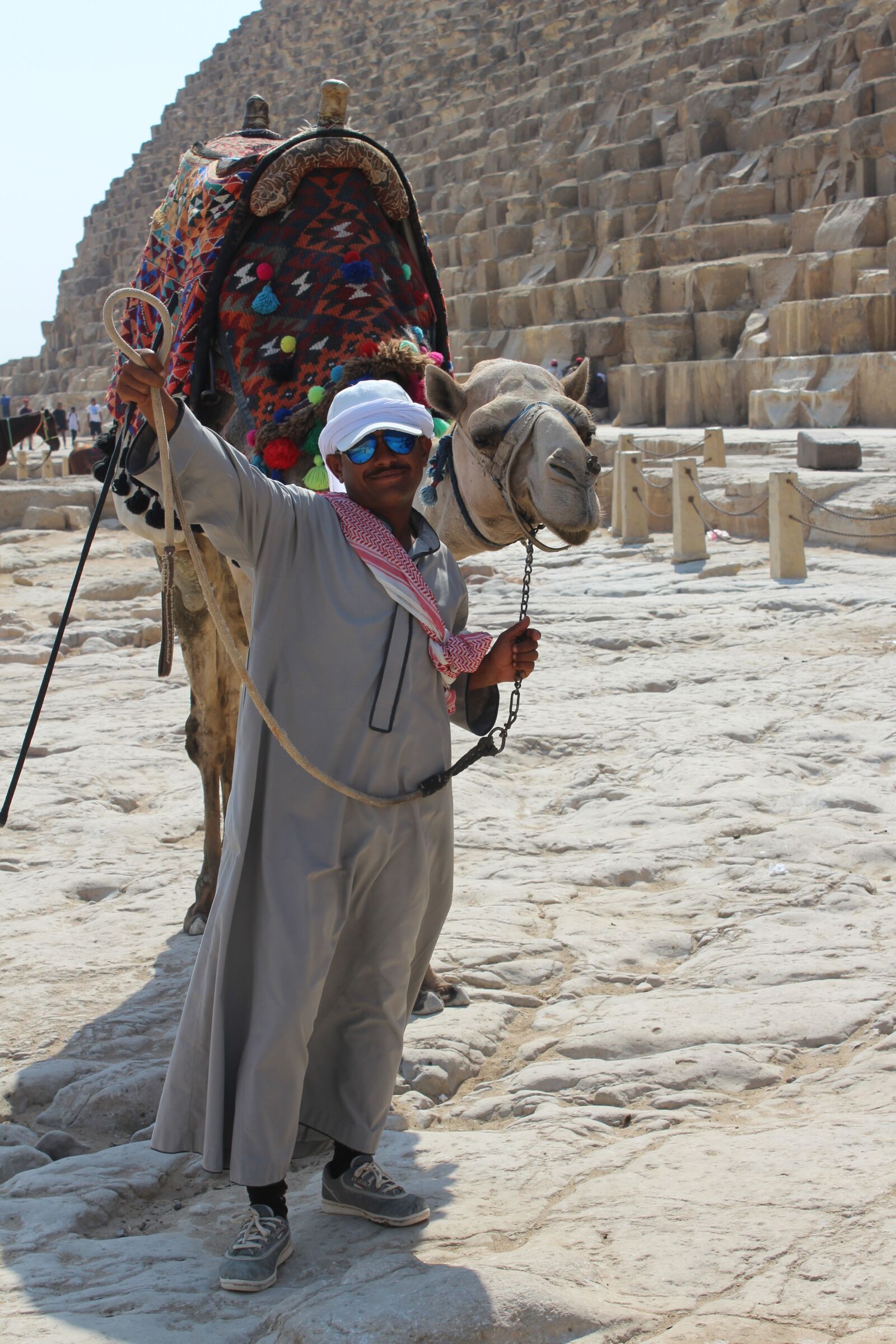 Canon EOS 1200D (EOS Rebel T5 / EOS Kiss X70 / EOS Hi) sample photo. Camel, gamal, desert photography