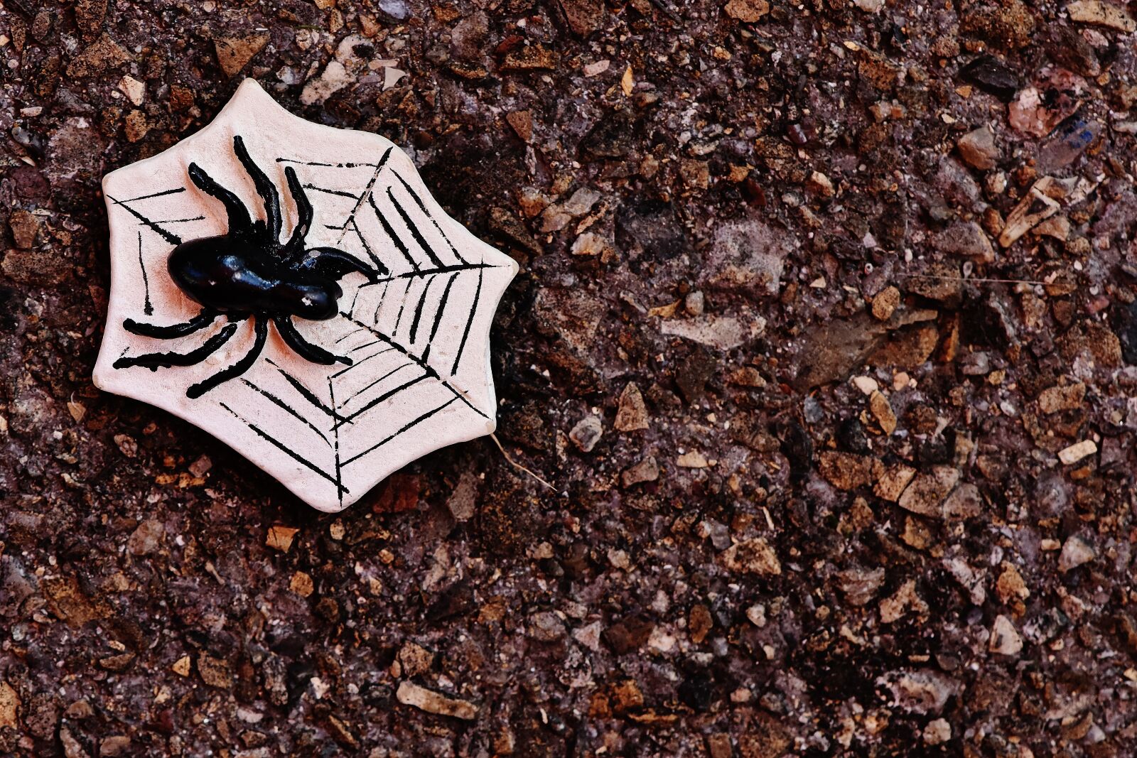 Nikon D7200 sample photo. Halloween, spider, cobweb photography