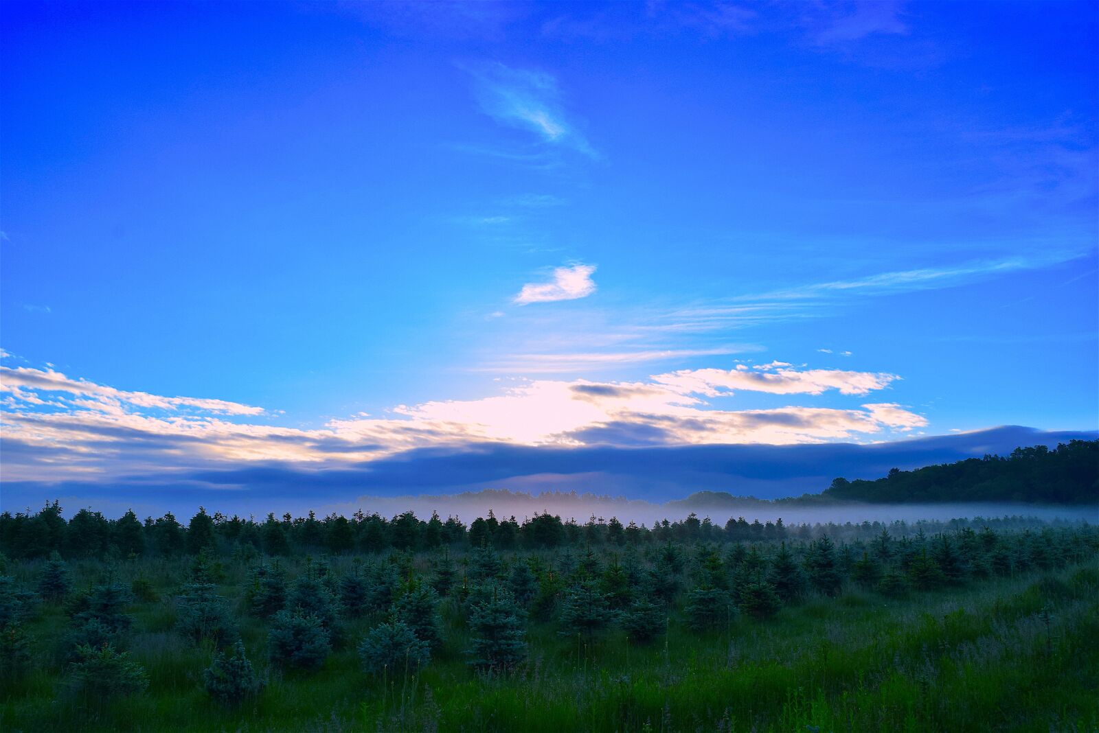 Nikon D3300 sample photo. Sunrise, field, mist photography