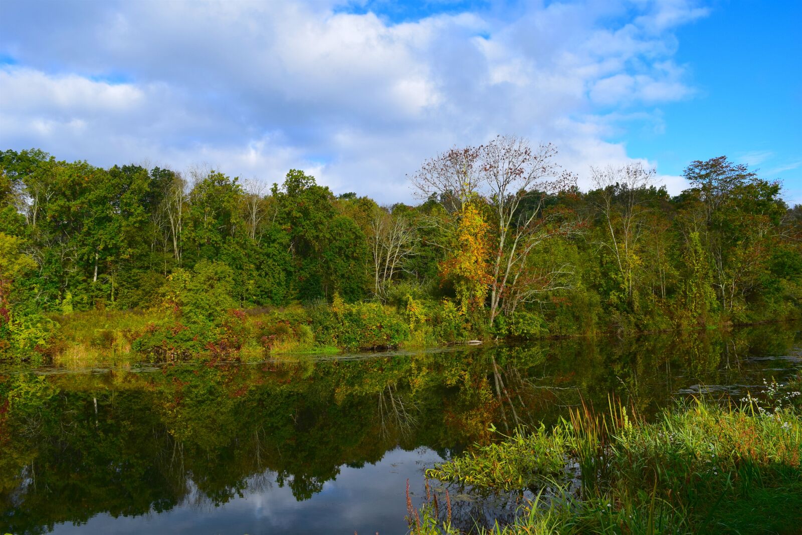 Nikon D3300 sample photo. Lake, morning, nature photography