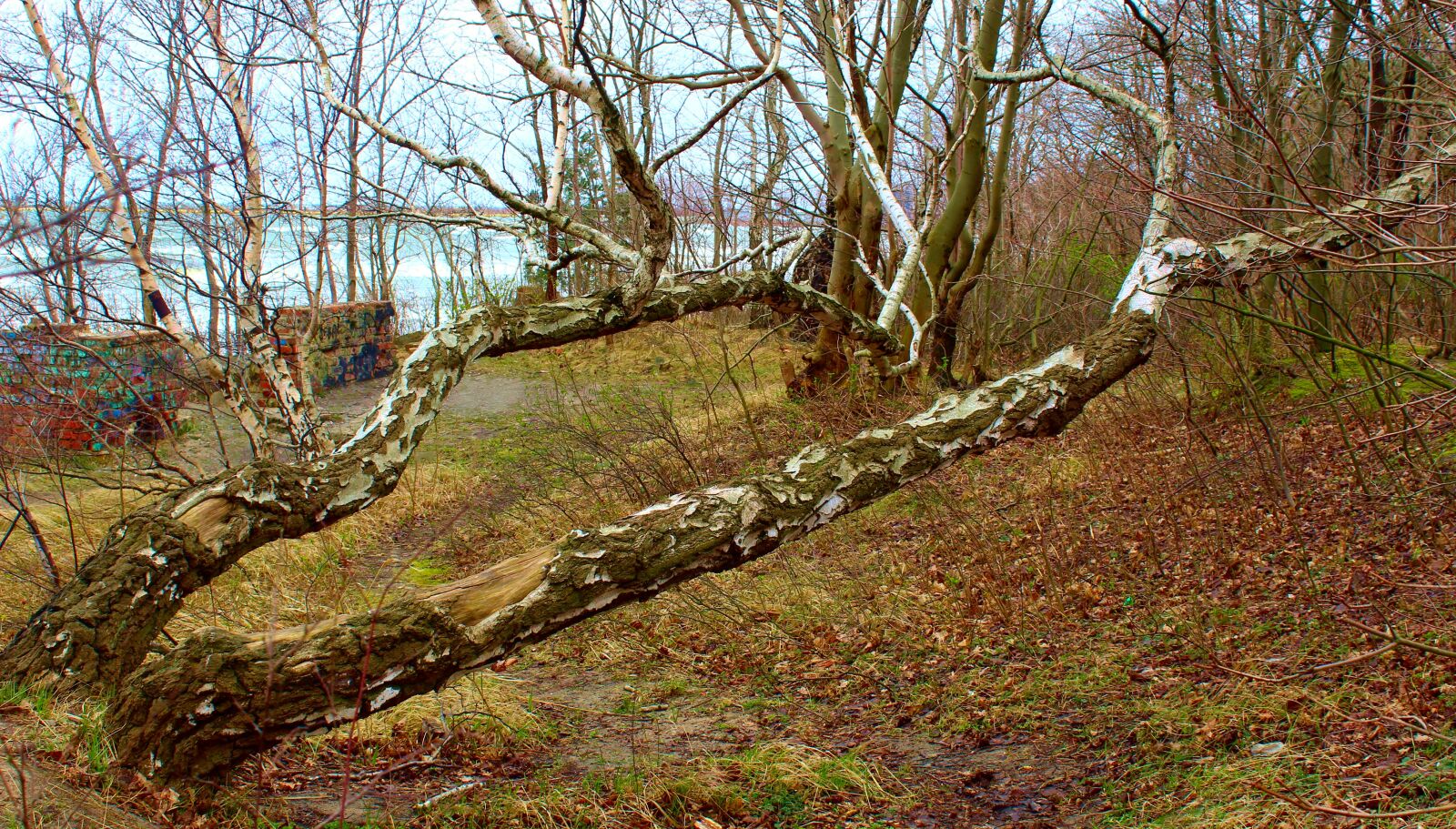 Canon EOS 4000D (EOS Rebel T100 / EOS 3000D) sample photo. Landscape, view, scenery photography