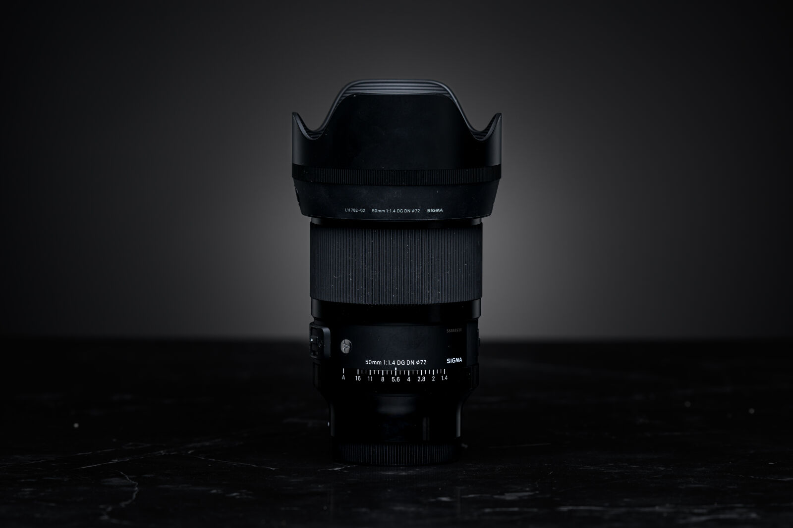 Nikon AF-S Nikkor 200-500mm F5.6E ED VR sample photo. Sigma 50mm f1.4 dg photography